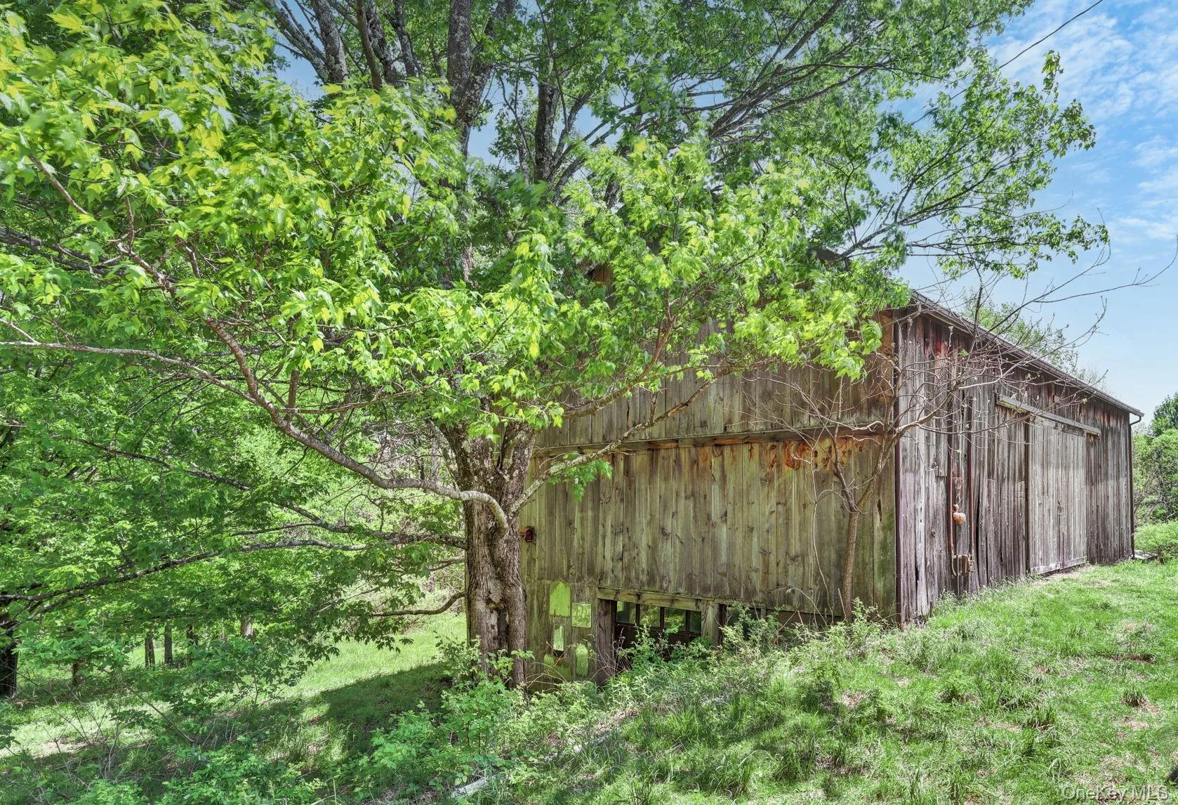75 Stafford Road, Liberty, NY, 3 Bedrooms Bedrooms, 8 Rooms Rooms,1 BathroomBathrooms,Residential Sale,For Rent,Stafford,0,1002109 75 Stafford Road, Liberty, NY, 3 Bedrooms Bedrooms, 8 Rooms Rooms,1 BathroomBathrooms,Residential Sale,For Rent,Stafford,0,1002109