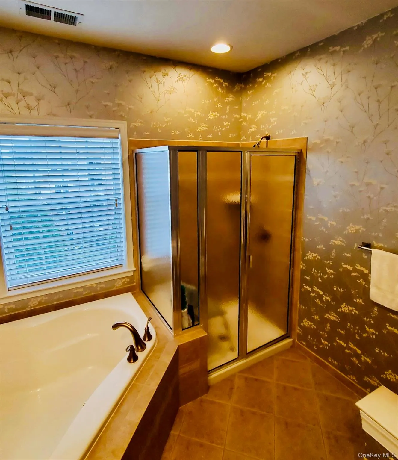 Primary Bath/Shower and Roman Bath Primary Bath/Shower and Roman Bath