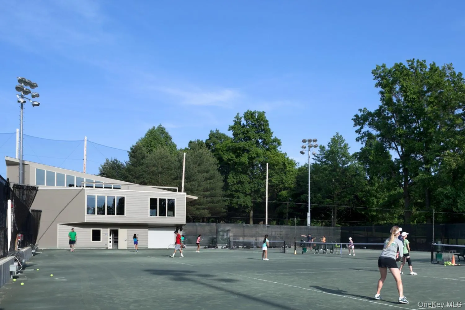 Tennis anyone? Tennis anyone?