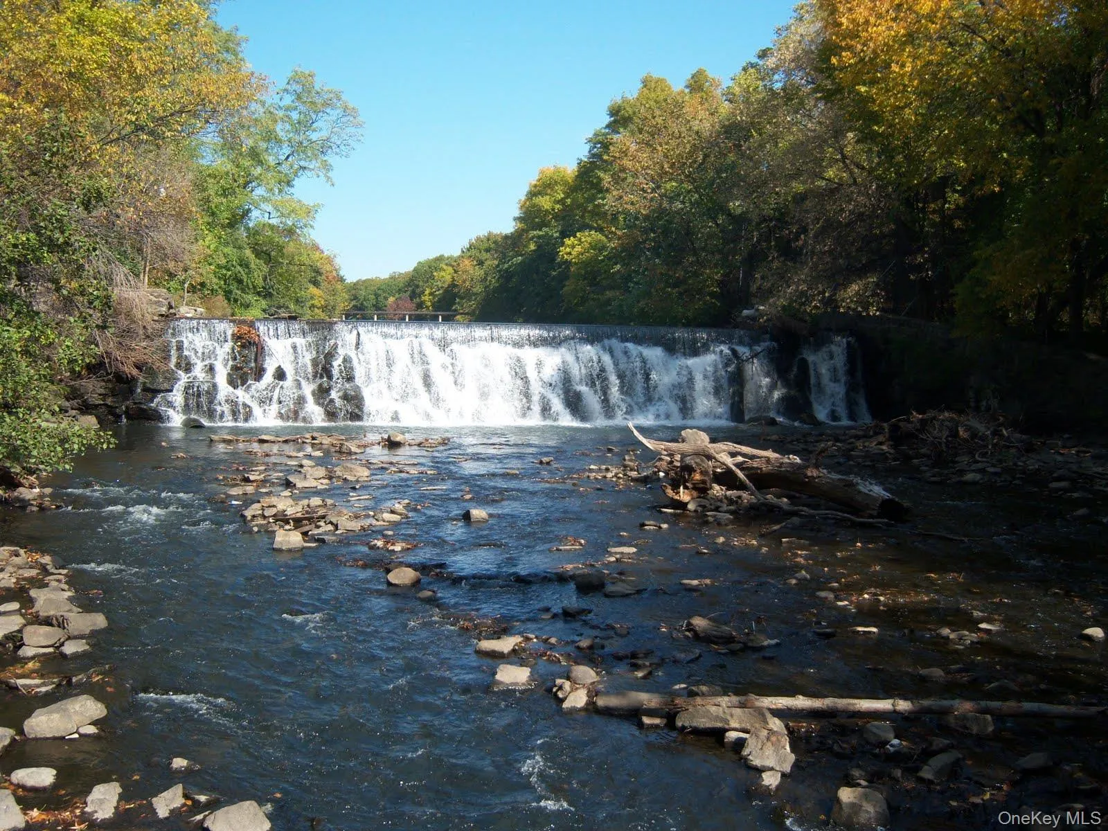 Bronx River waterfalls. Bronx River waterfalls.