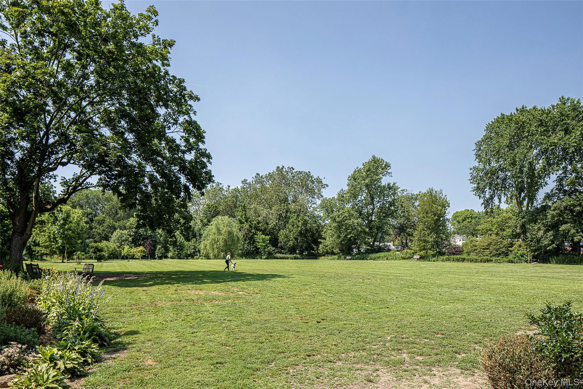 Neighborhood dog park just blocks away. Neighborhood dog park just blocks away.