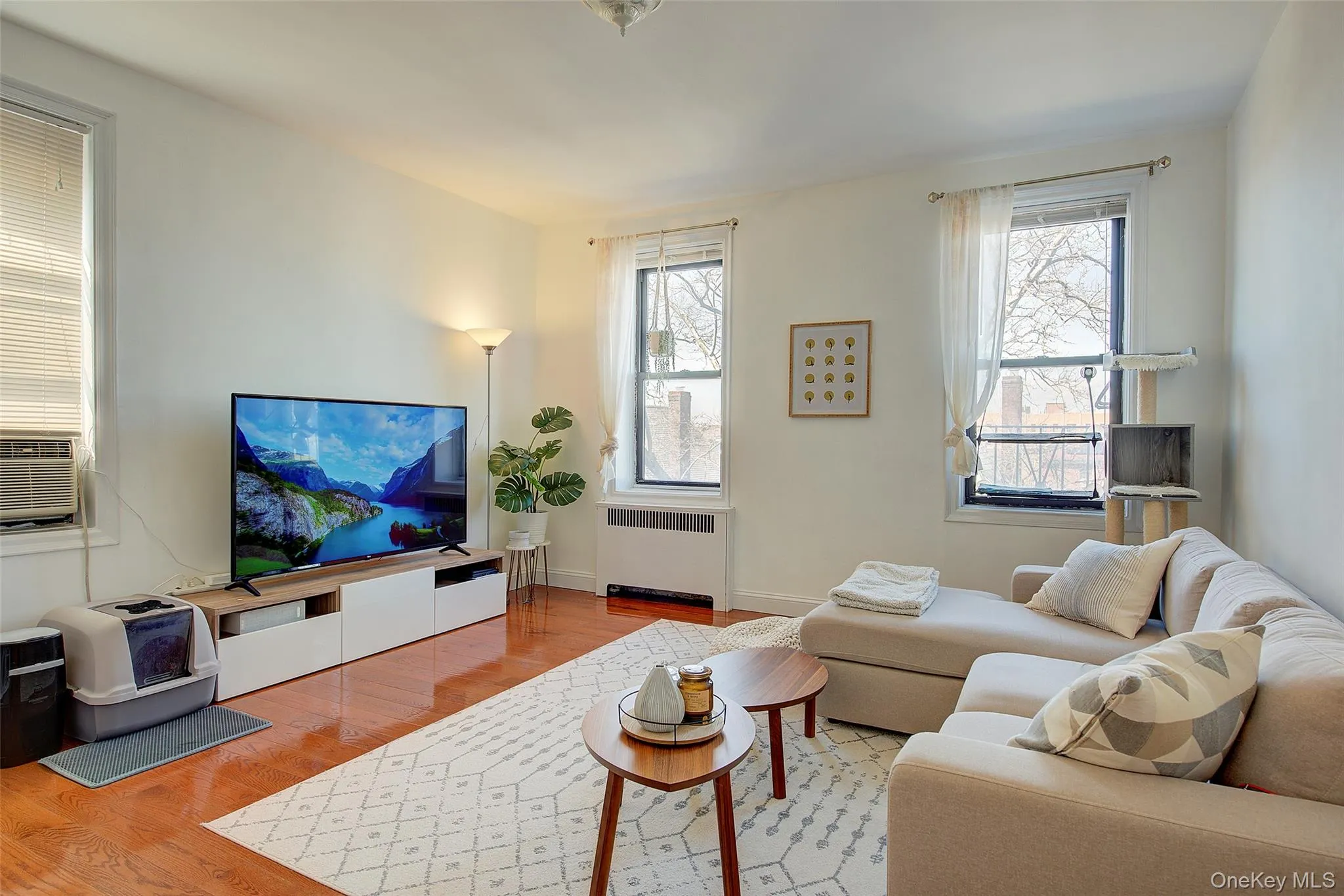 167-10 Crocheron Avenue, New York, NY, 1 Bedroom Bedrooms, 4 Rooms Rooms,1 BathroomBathrooms,Residential Lease,For Rent,Crocheron,0,1002201 167-10 Crocheron Avenue, New York, NY, 1 Bedroom Bedrooms, 4 Rooms Rooms,1 BathroomBathrooms,Residential Lease,For Rent,Crocheron,0,1002201