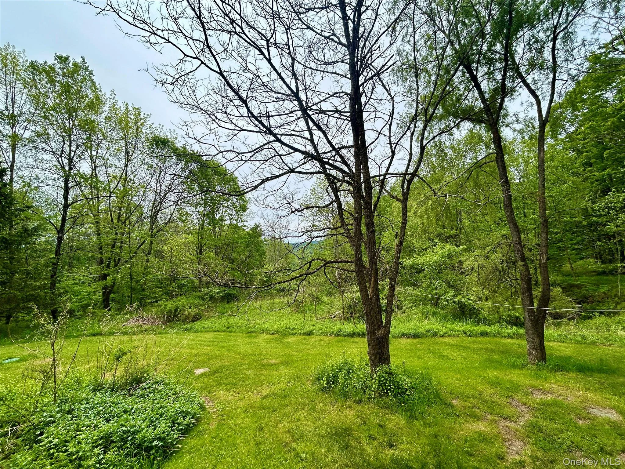 145 White Roe Lake Road, Rockland, NY, 2 Bedrooms Bedrooms, 5 Rooms Rooms,2 BathroomsBathrooms,Residential,For Rent,White Roe Lake,0,1002212 145 White Roe Lake Road, Rockland, NY, 2 Bedrooms Bedrooms, 5 Rooms Rooms,2 BathroomsBathrooms,Residential,For Rent,White Roe Lake,0,1002212