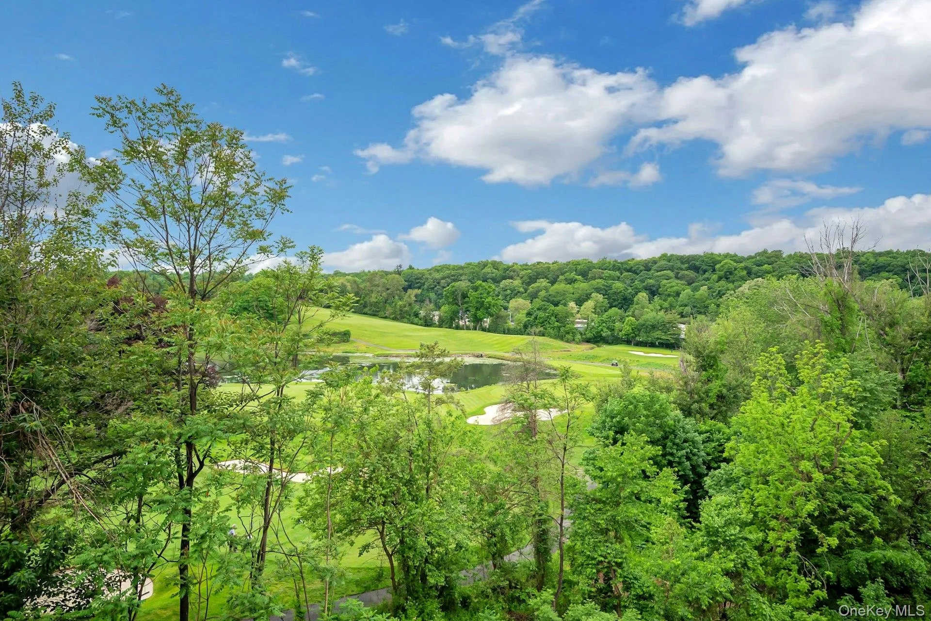 Incredible year-round seasonal views from the living room and terrace. Incredible year-round seasonal views from the living room and terrace.
