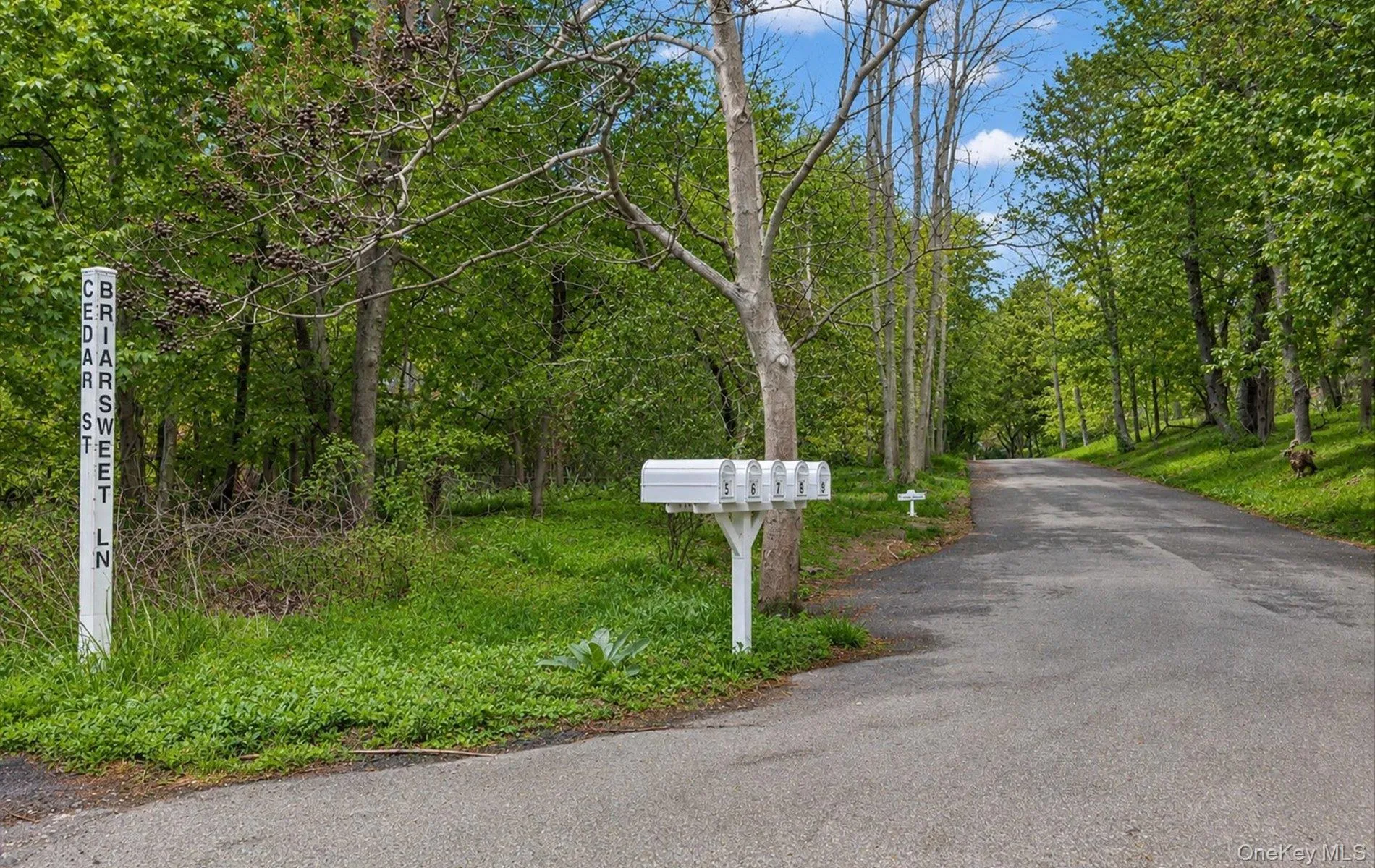 9 Briarsweet Lane, East Hampton, NY, 4 Bedrooms Bedrooms, 9 Rooms Rooms,6 BathroomsBathrooms,Residential,For Rent,Briarsweet,0,1002247 9 Briarsweet Lane, East Hampton, NY, 4 Bedrooms Bedrooms, 9 Rooms Rooms,6 BathroomsBathrooms,Residential,For Rent,Briarsweet,0,1002247