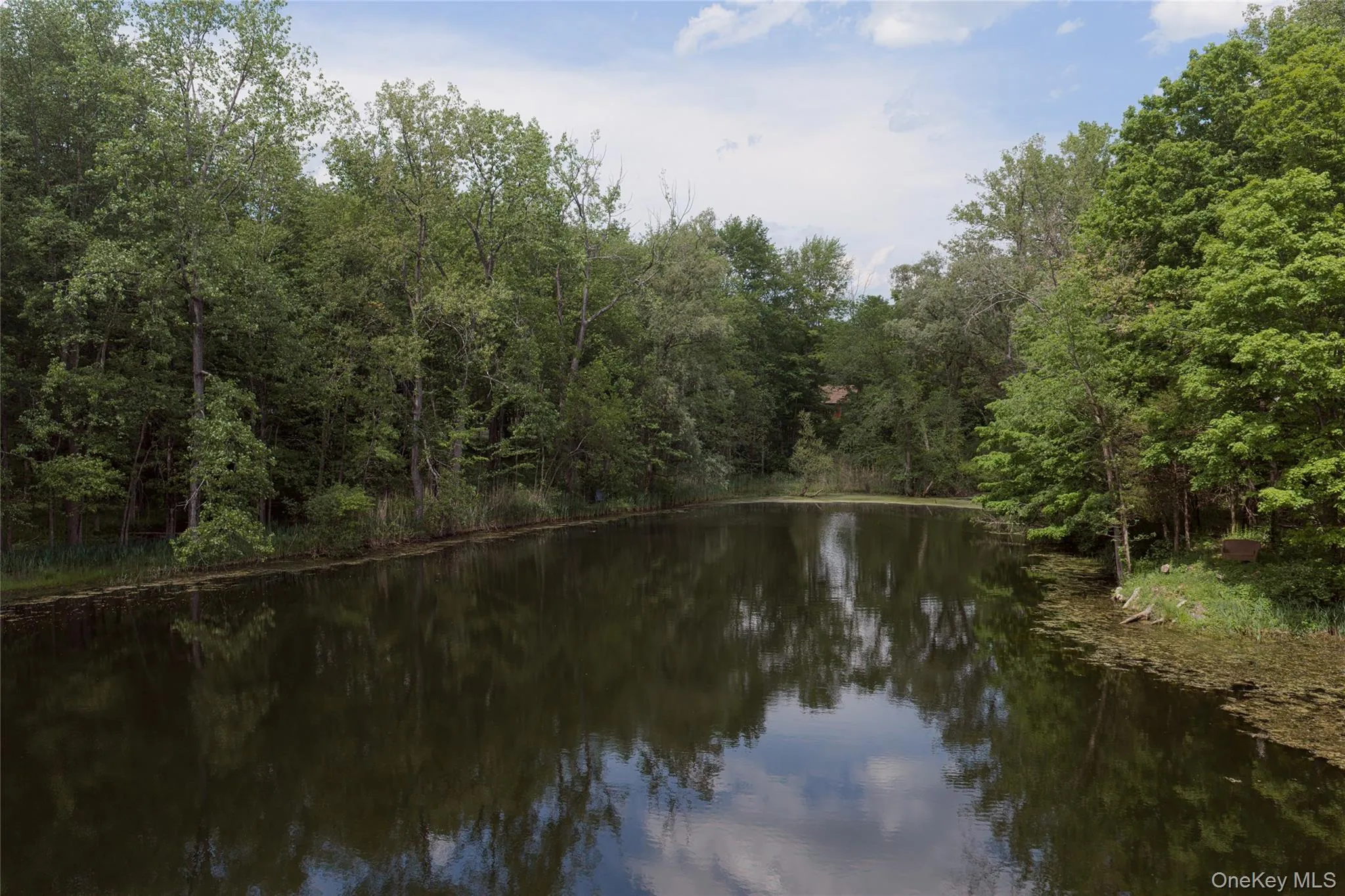 360 Mills Cross Road, Hyde Park, NY, 3 Bedrooms Bedrooms, 7 Rooms Rooms,3 BathroomsBathrooms,Residential,For Rent,Mills Cross,0,1002254 360 Mills Cross Road, Hyde Park, NY, 3 Bedrooms Bedrooms, 7 Rooms Rooms,3 BathroomsBathrooms,Residential,For Rent,Mills Cross,0,1002254