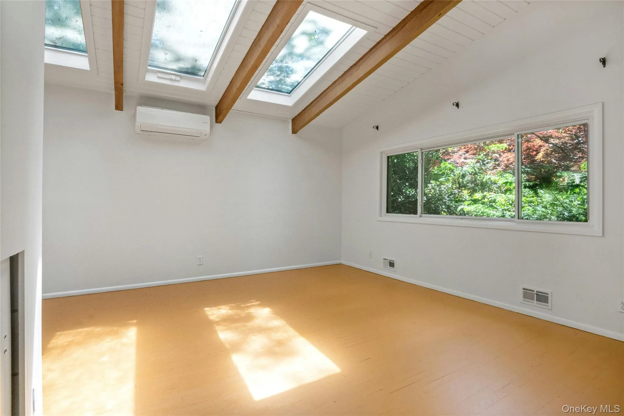 Those skylights! Those skylights!