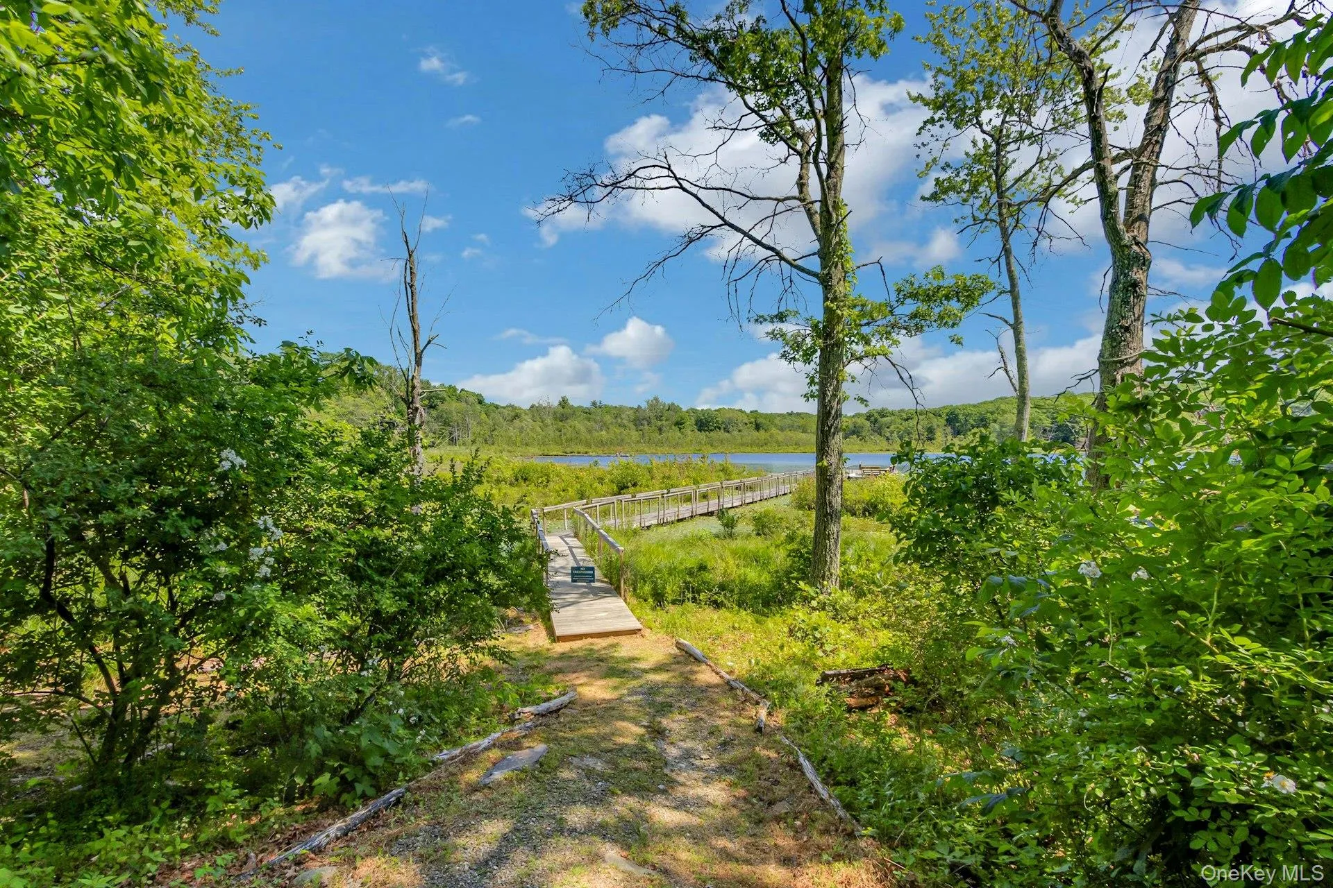 6 Woods Road, Milan, NY, 2 Bedrooms Bedrooms, 5 Rooms Rooms,1 BathroomBathrooms,Residential,For Rent,Woods,0,1002328 6 Woods Road, Milan, NY, 2 Bedrooms Bedrooms, 5 Rooms Rooms,1 BathroomBathrooms,Residential,For Rent,Woods,0,1002328