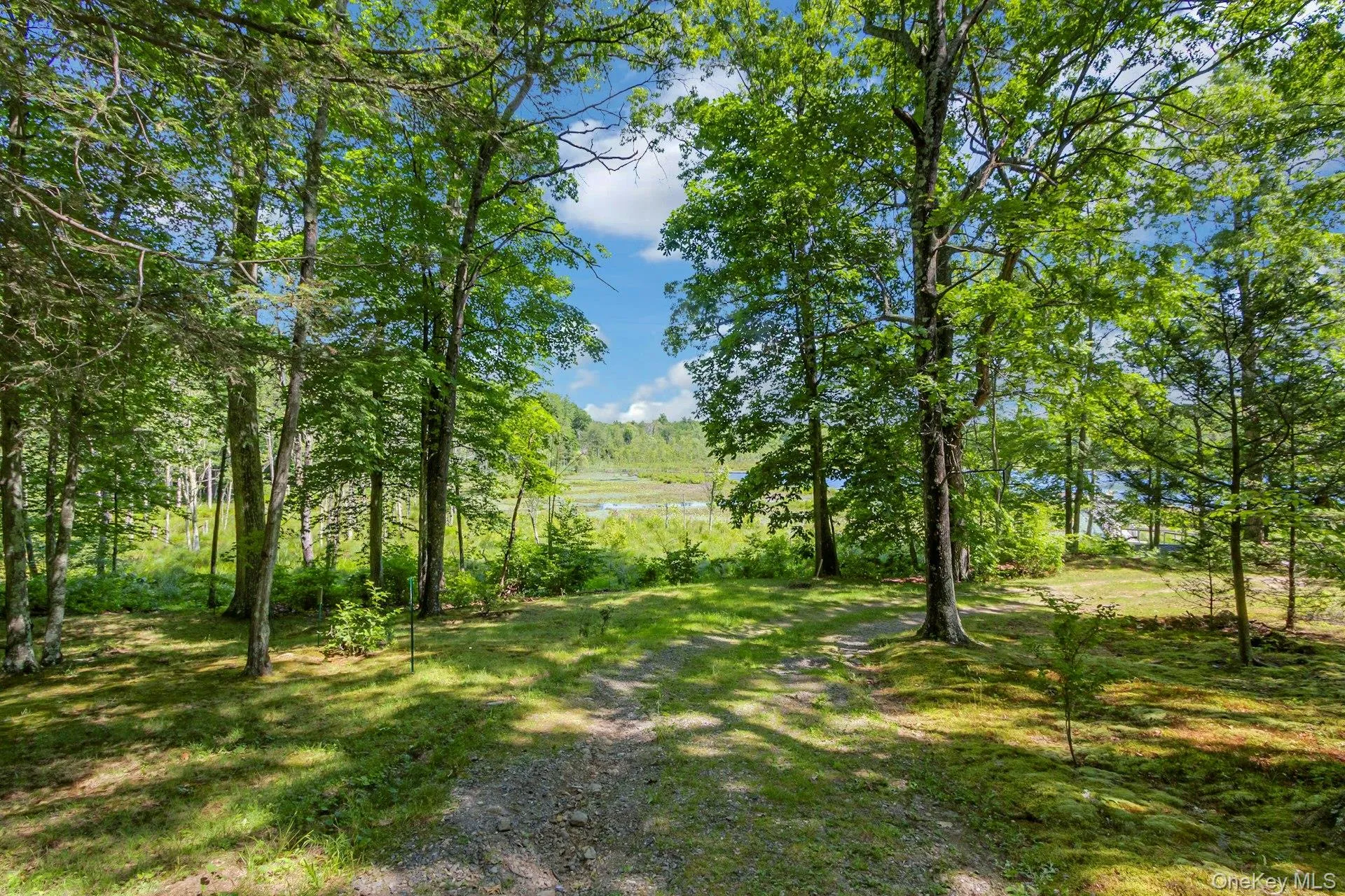 6 Woods Road, Milan, NY, 2 Bedrooms Bedrooms, 5 Rooms Rooms,1 BathroomBathrooms,Residential,For Rent,Woods,0,1002328 6 Woods Road, Milan, NY, 2 Bedrooms Bedrooms, 5 Rooms Rooms,1 BathroomBathrooms,Residential,For Rent,Woods,0,1002328