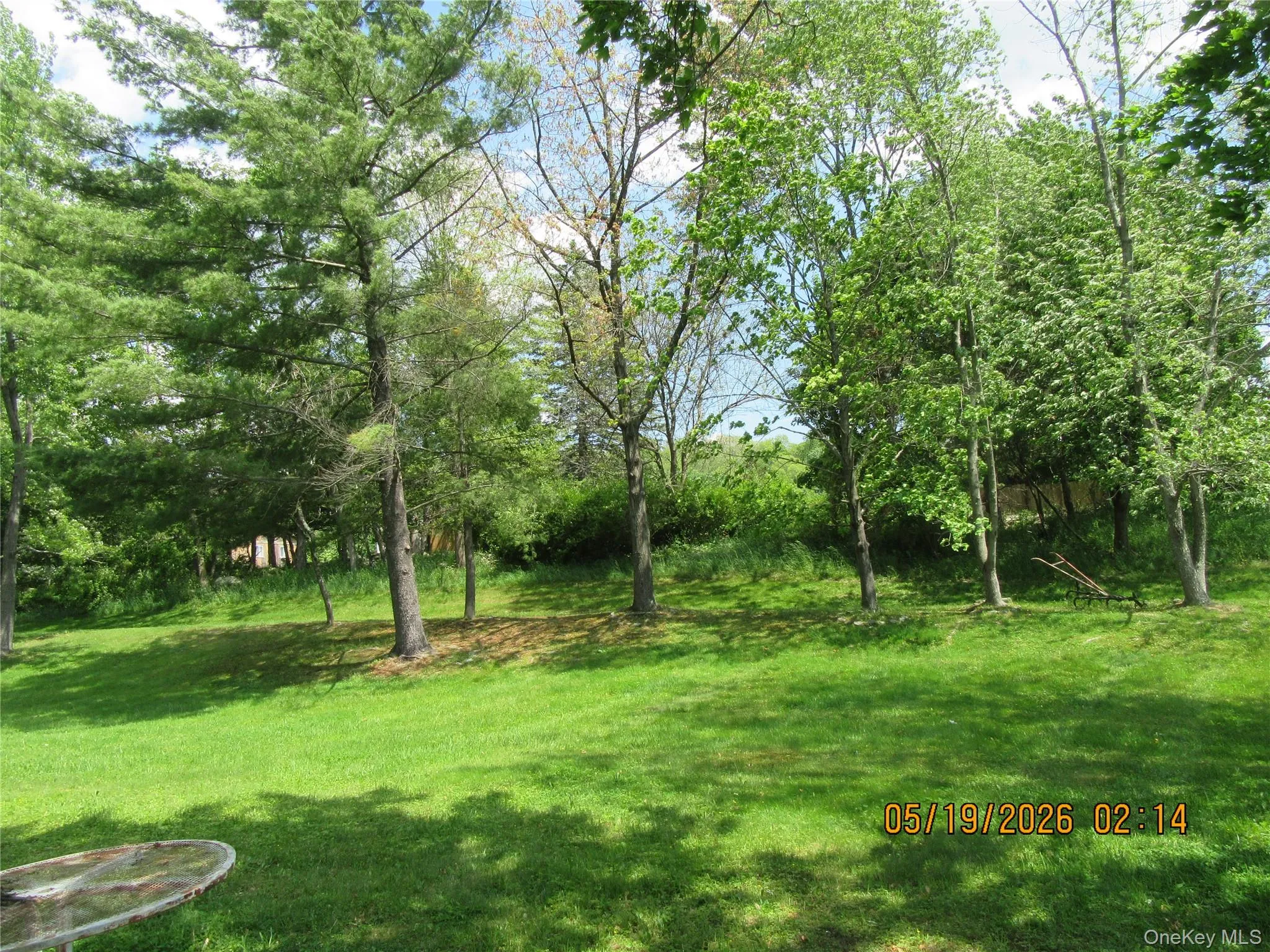 Expansive green lawn surrounded by mature trees, offering a natural setting Expansive green lawn surrounded by mature trees, offering a natural setting