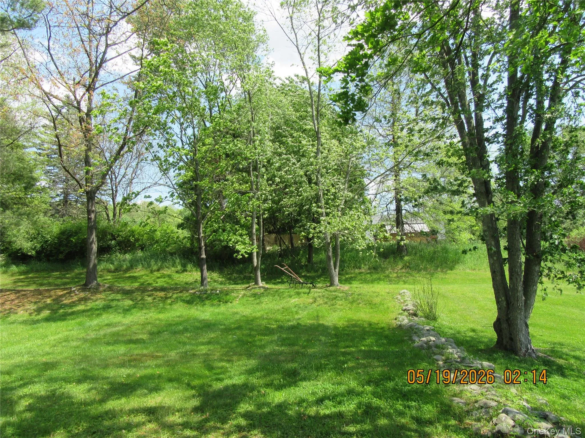 Expansive grassy yard featuring mature trees and a partial stone wall Expansive grassy yard featuring mature trees and a partial stone wall
