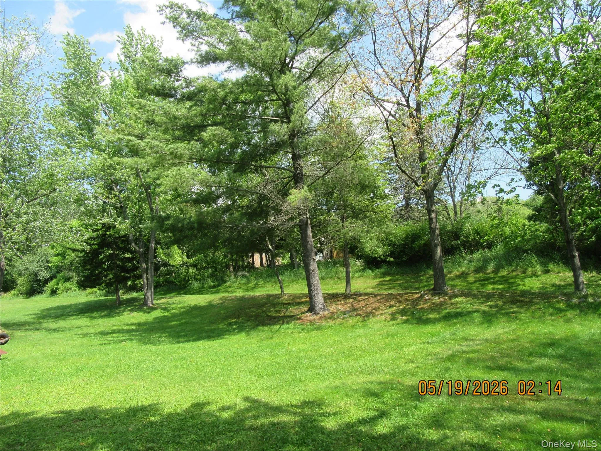 Expansive green lawn surrounded by mature trees, including evergreen and deciduous varieties, providing natural shading Expansive green lawn surrounded by mature trees, including evergreen and deciduous varieties, providing natural shading