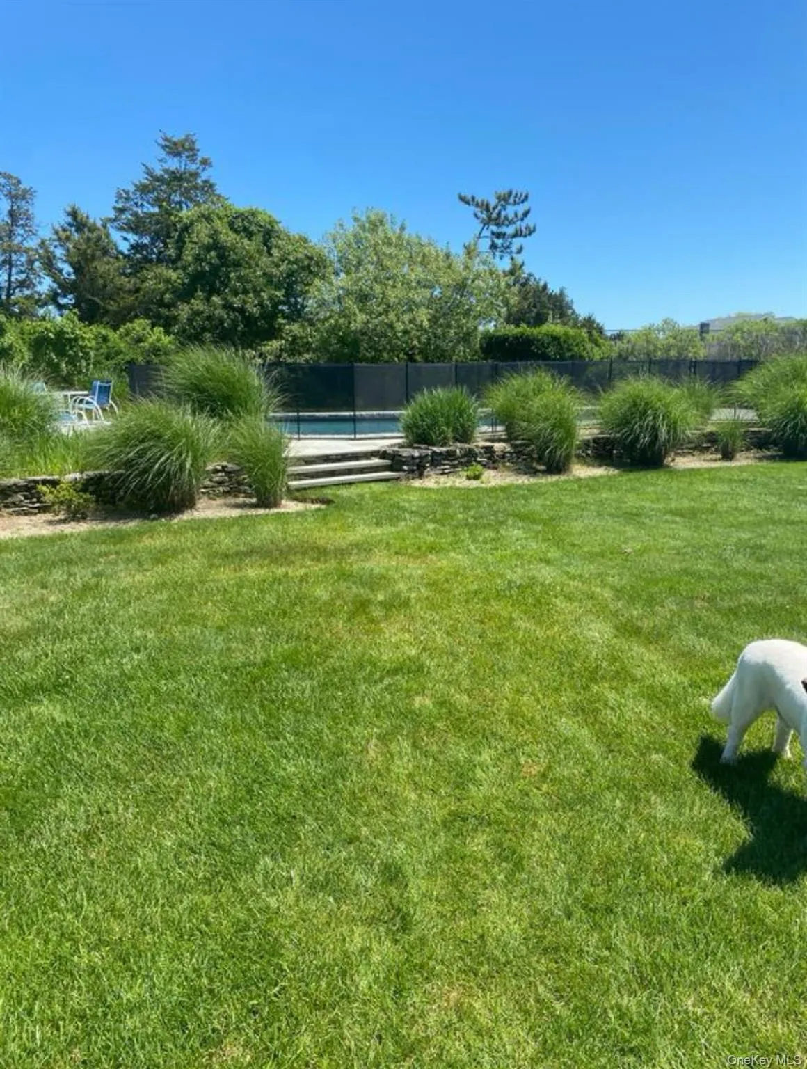 250 Oneck Lane, Southampton, NY, 5 Bedrooms Bedrooms, 12 Rooms Rooms,2 BathroomsBathrooms,Residential Lease,For Rent,Oneck,0,1002341 250 Oneck Lane, Southampton, NY, 5 Bedrooms Bedrooms, 12 Rooms Rooms,2 BathroomsBathrooms,Residential Lease,For Rent,Oneck,0,1002341