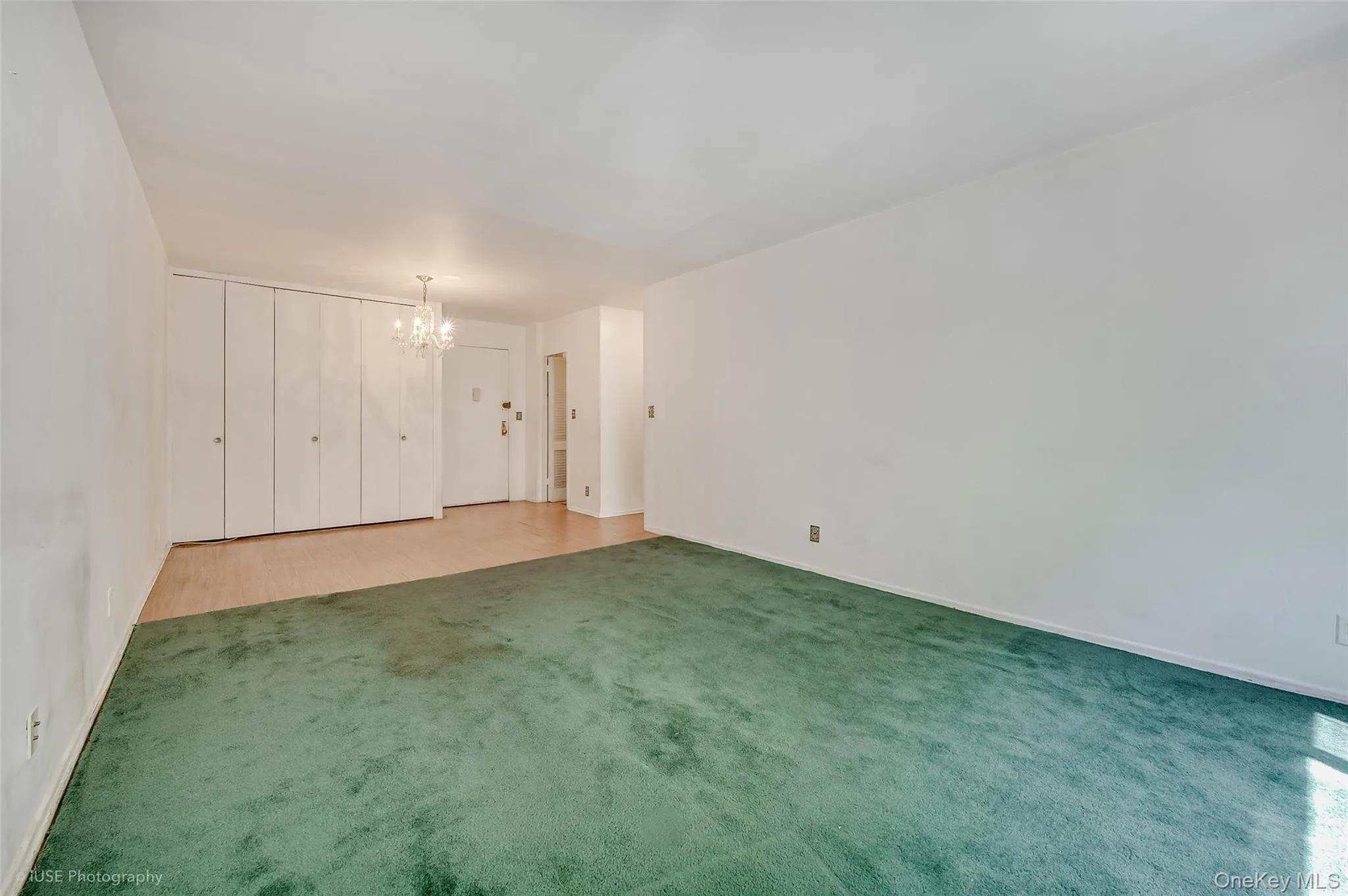 39-65 52 St., New York, NY, 1 Bedroom Bedrooms, 3 Rooms Rooms,1 BathroomBathrooms,Residential,For Rent,52 St.,0,1002351 39-65 52 St., New York, NY, 1 Bedroom Bedrooms, 3 Rooms Rooms,1 BathroomBathrooms,Residential,For Rent,52 St.,0,1002351