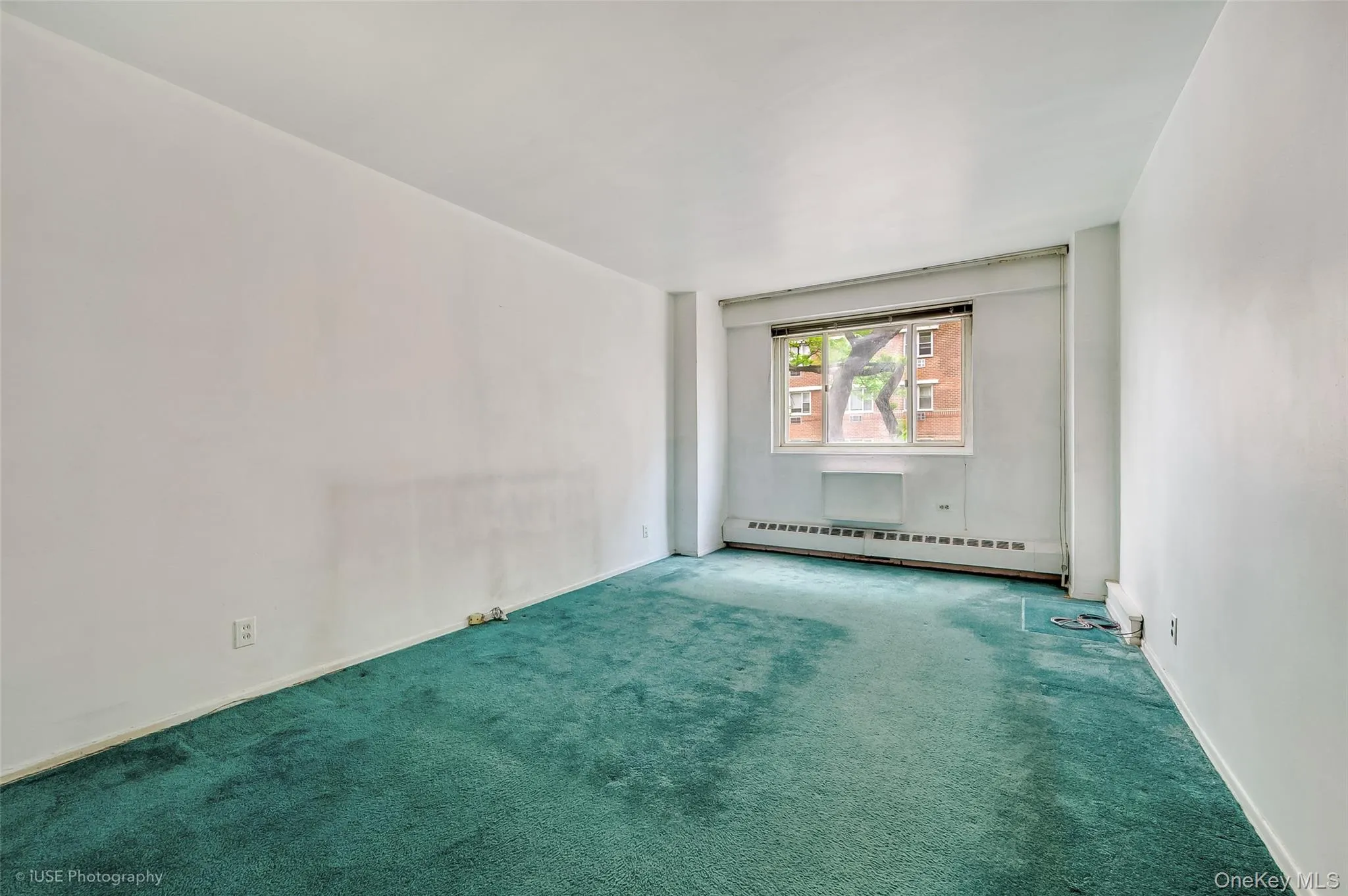 39-65 52 St., New York, NY, 1 Bedroom Bedrooms, 3 Rooms Rooms,1 BathroomBathrooms,Residential,For Rent,52 St.,0,1002351 39-65 52 St., New York, NY, 1 Bedroom Bedrooms, 3 Rooms Rooms,1 BathroomBathrooms,Residential,For Rent,52 St.,0,1002351