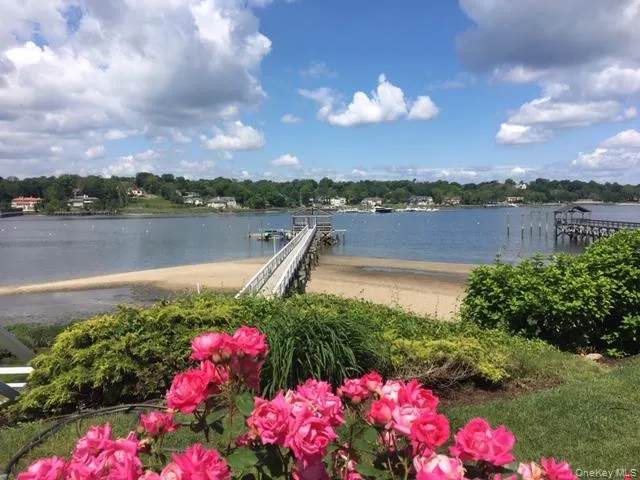 11 Plandome Drive, North Hempstead, NY, 6 Bedrooms Bedrooms, 11 Rooms Rooms,5 BathroomsBathrooms,Residential Lease,For Rent,Plandome,0,1002417 11 Plandome Drive, North Hempstead, NY, 6 Bedrooms Bedrooms, 11 Rooms Rooms,5 BathroomsBathrooms,Residential Lease,For Rent,Plandome,0,1002417