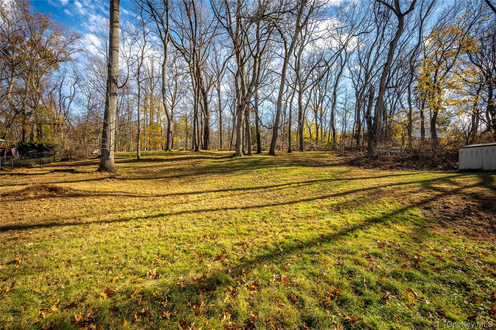 Backyard Backyard