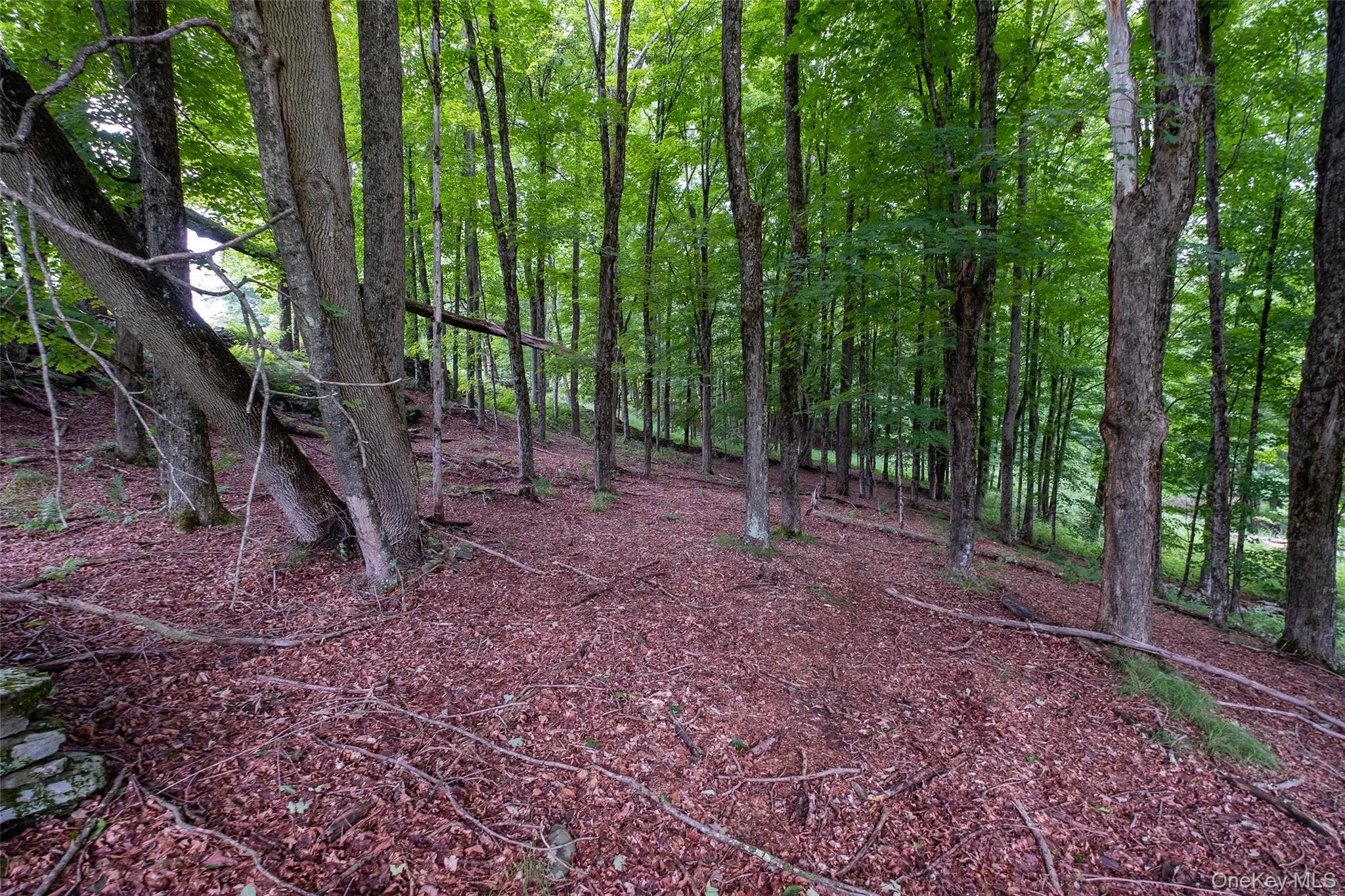 Lot 5 Timber Drive, Bethel, NY, ,Land,For Rent,Timber,0,1002465 Lot 5 Timber Drive, Bethel, NY, ,Land,For Rent,Timber,0,1002465