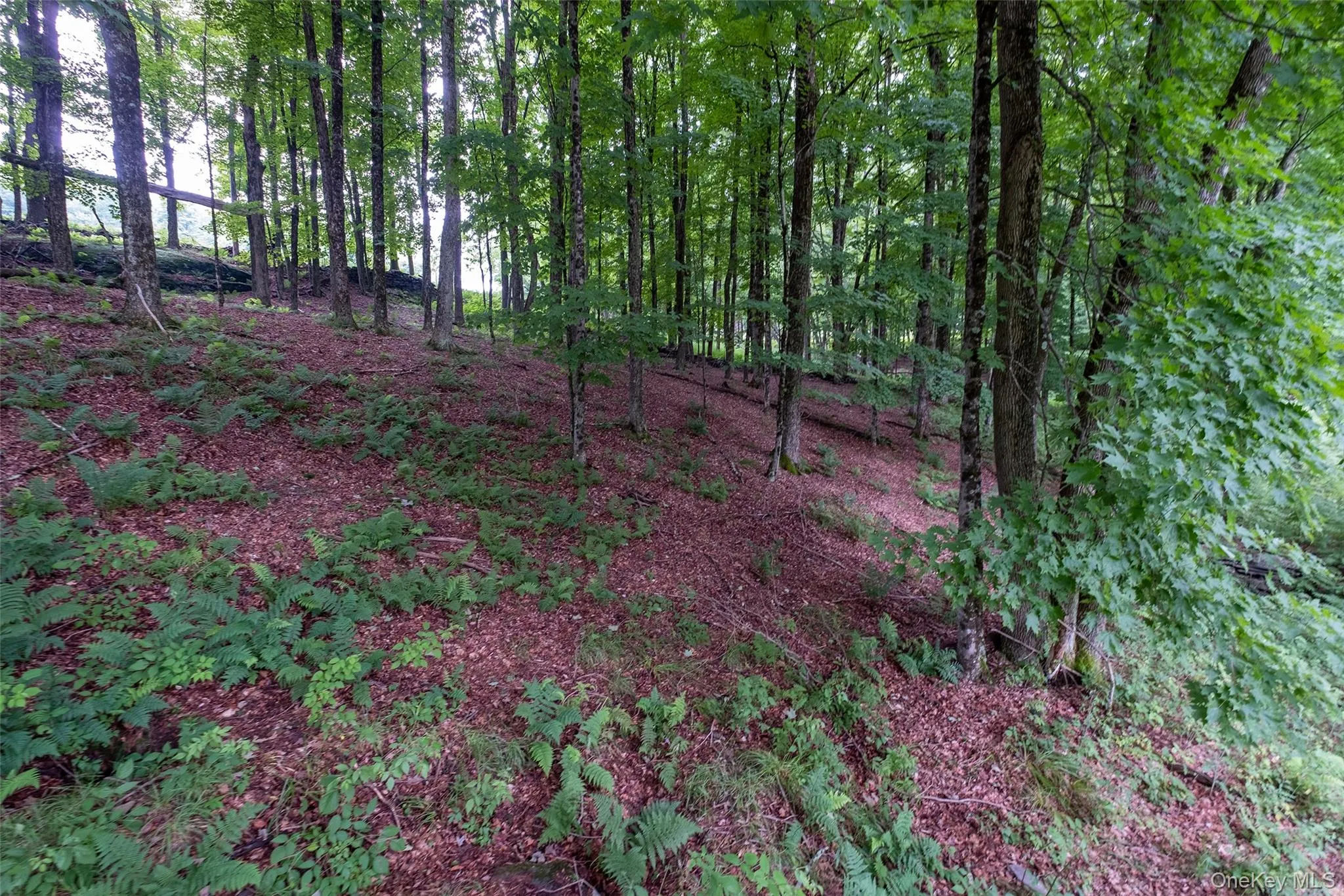 Lot 5 Timber Drive, Bethel, NY, ,Land,For Rent,Timber,0,1002465 Lot 5 Timber Drive, Bethel, NY, ,Land,For Rent,Timber,0,1002465