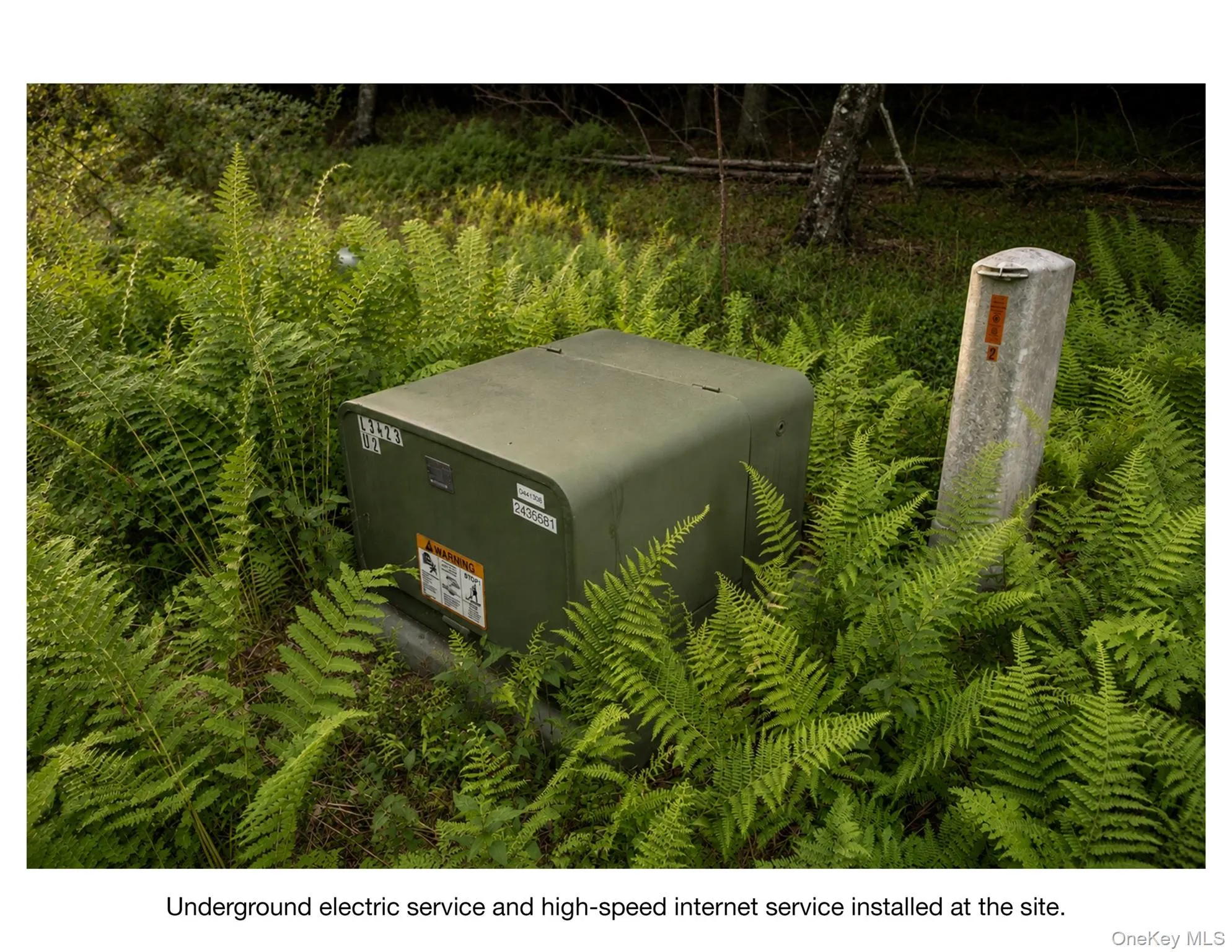 Underground electrical service and high-speed internet at the site. Underground electrical service and high-speed internet at the site.