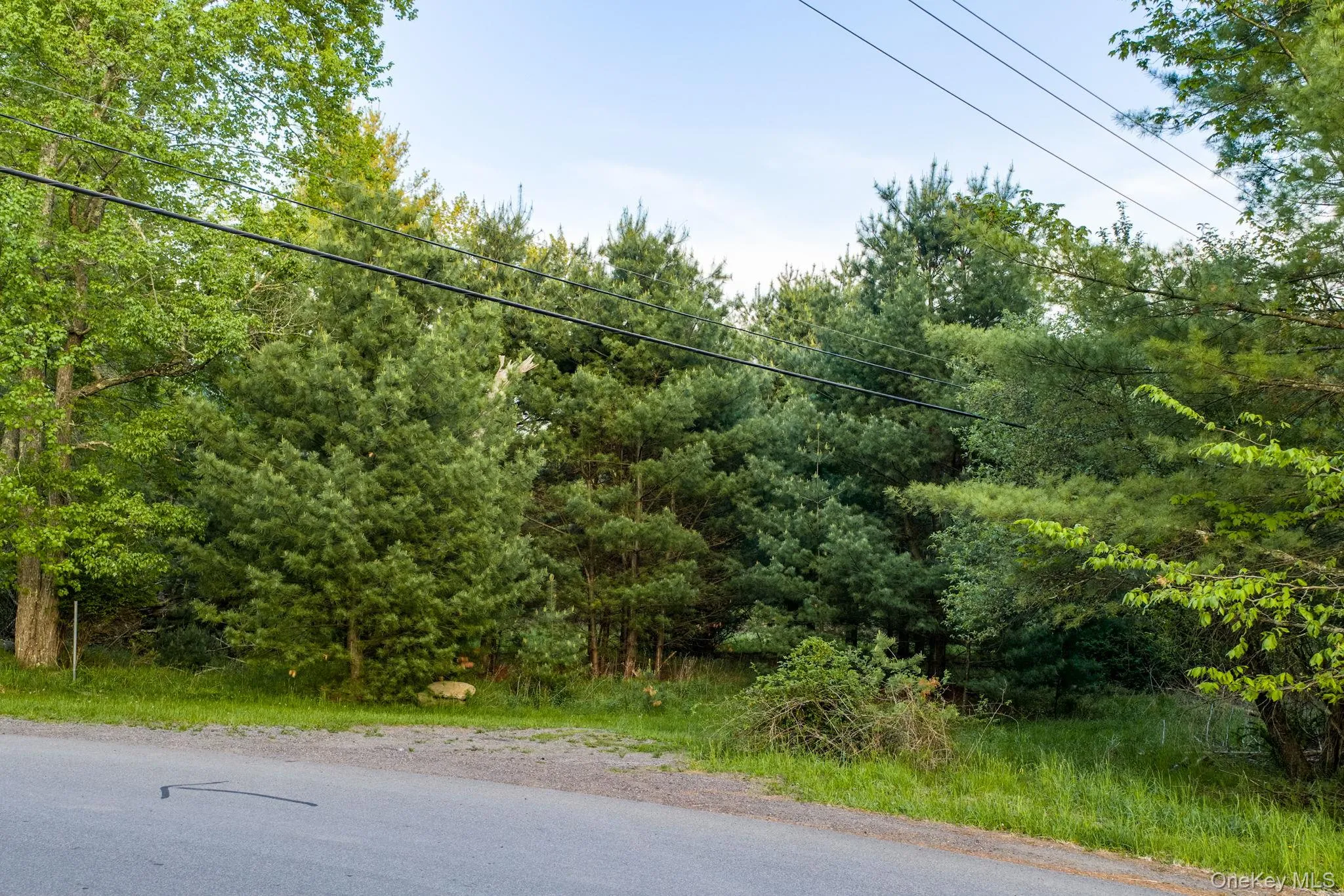 Mongaup Road, Thompson, NY, ,Land,For Rent,Mongaup,0,1002504 Mongaup Road, Thompson, NY, ,Land,For Rent,Mongaup,0,1002504