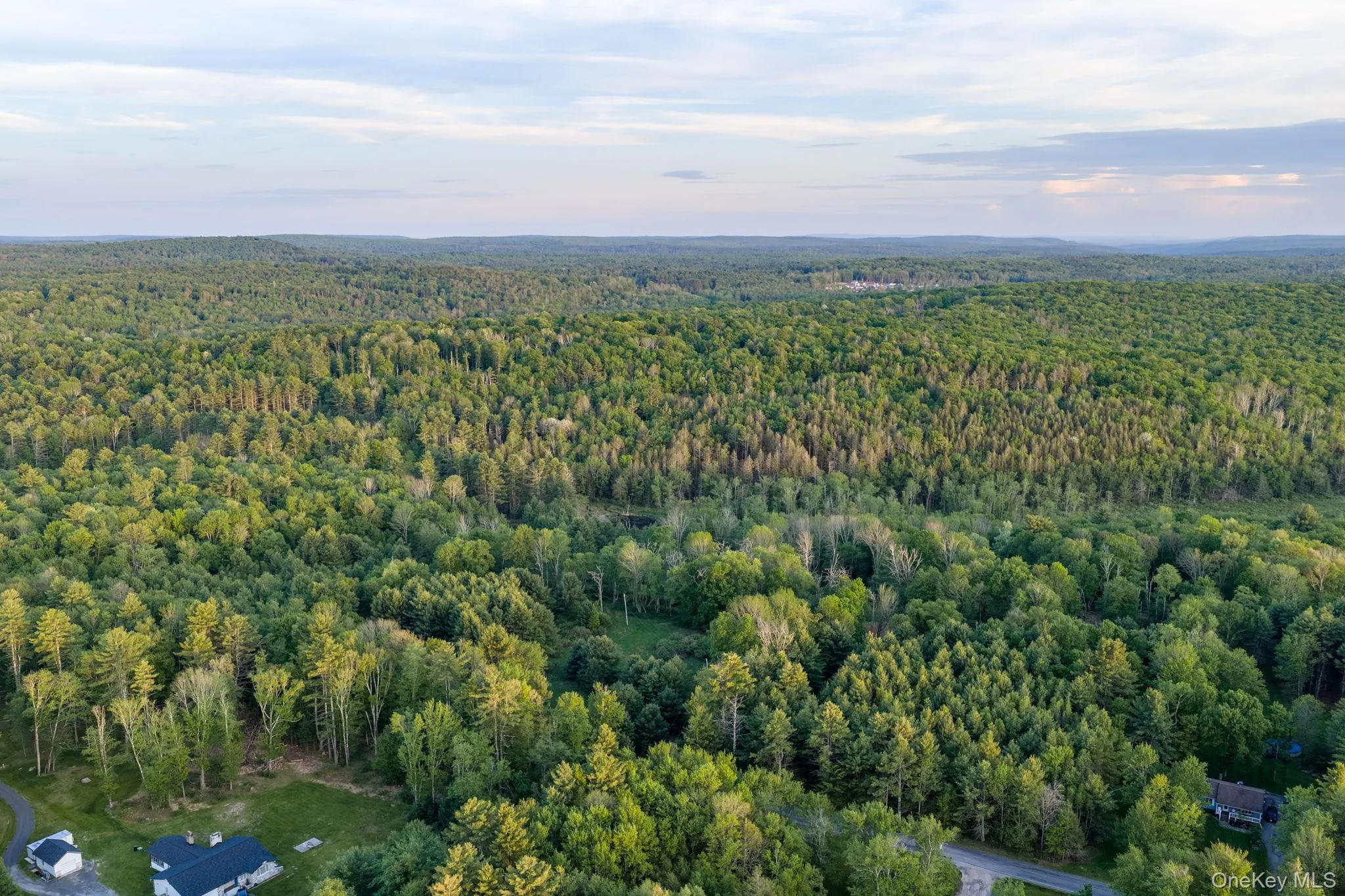 Mongaup Road, Thompson, NY, ,Land,For Rent,Mongaup,0,1002504 Mongaup Road, Thompson, NY, ,Land,For Rent,Mongaup,0,1002504