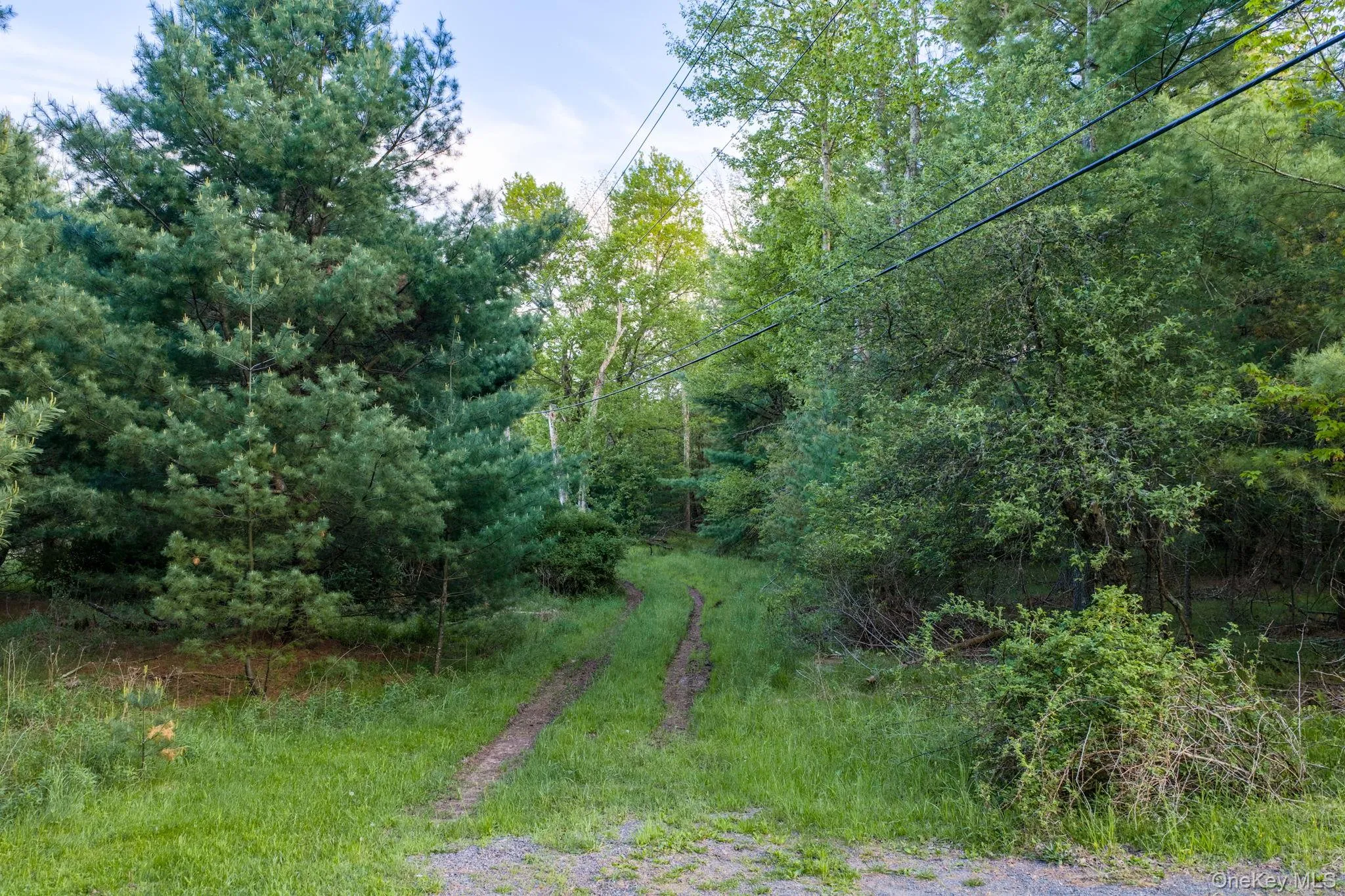 Mongaup Road, Thompson, NY, ,Land,For Rent,Mongaup,0,1002504 Mongaup Road, Thompson, NY, ,Land,For Rent,Mongaup,0,1002504