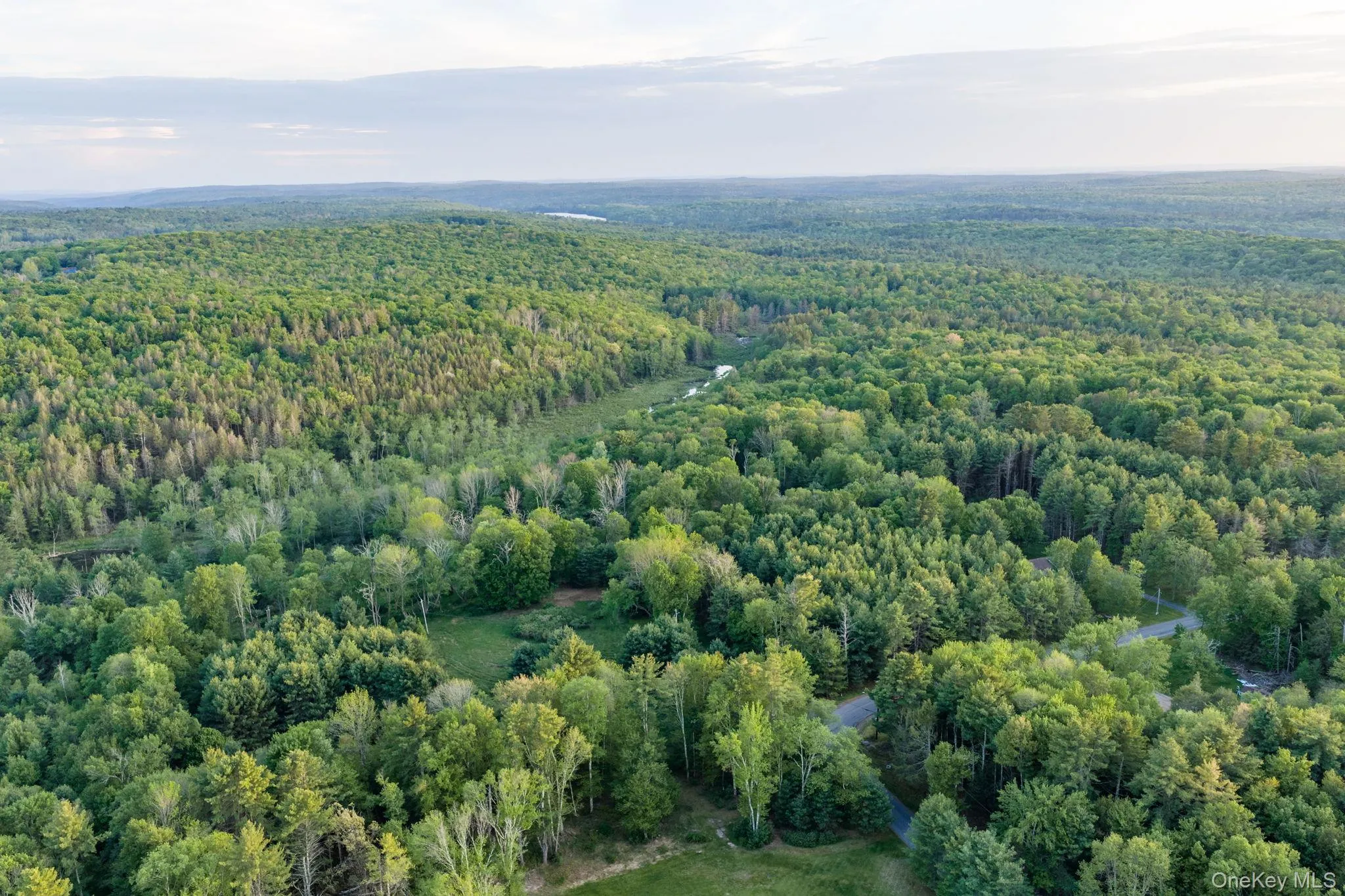 Mongaup Road, Thompson, NY, ,Land,For Rent,Mongaup,0,1002504 Mongaup Road, Thompson, NY, ,Land,For Rent,Mongaup,0,1002504