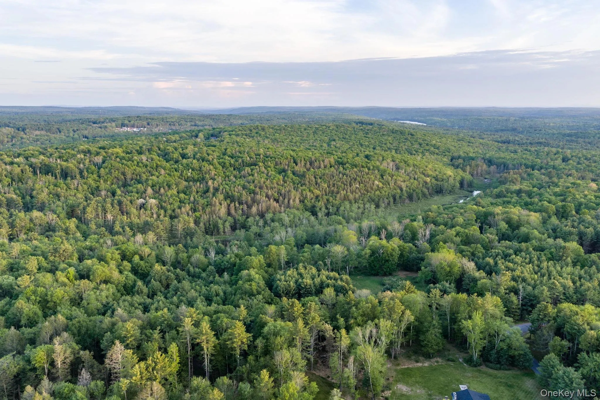 Mongaup Road, Thompson, NY, ,Land,For Rent,Mongaup,0,1002504 Mongaup Road, Thompson, NY, ,Land,For Rent,Mongaup,0,1002504