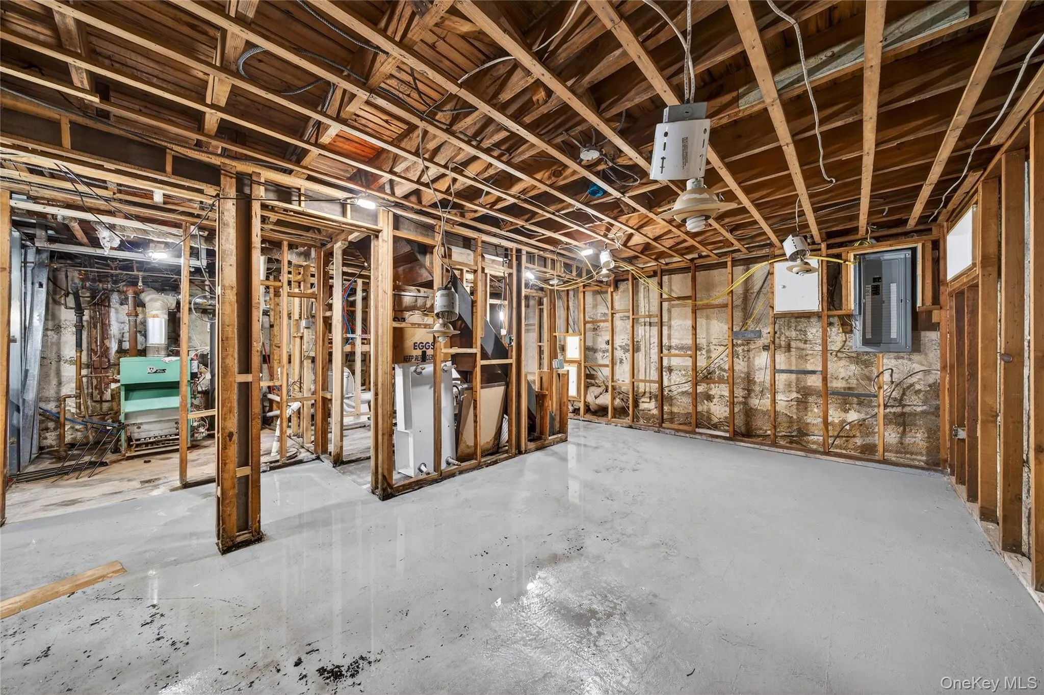 390 Locust Avenue, Hempstead, NY, 6 Bedrooms Bedrooms, ,3 BathroomsBathrooms,Residential Sale,For Rent,Locust,0,1002513 390 Locust Avenue, Hempstead, NY, 6 Bedrooms Bedrooms, ,3 BathroomsBathrooms,Residential Sale,For Rent,Locust,0,1002513