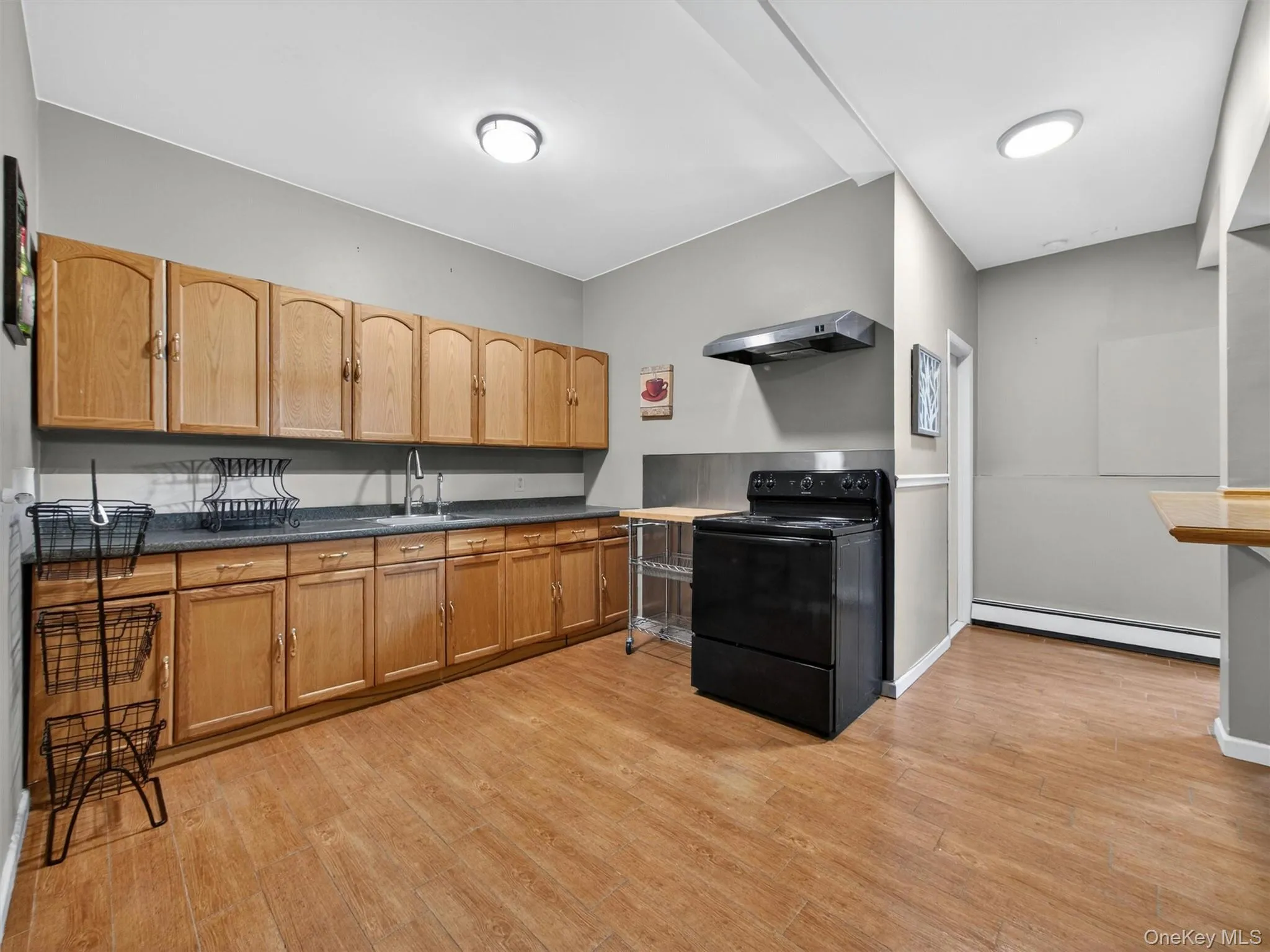 Spacious lower-level multi-use area featuring abundant cabinetry, counter space, and a flexible layout. Spacious lower-level multi-use area featuring abundant cabinetry, counter space, and a flexible layout.