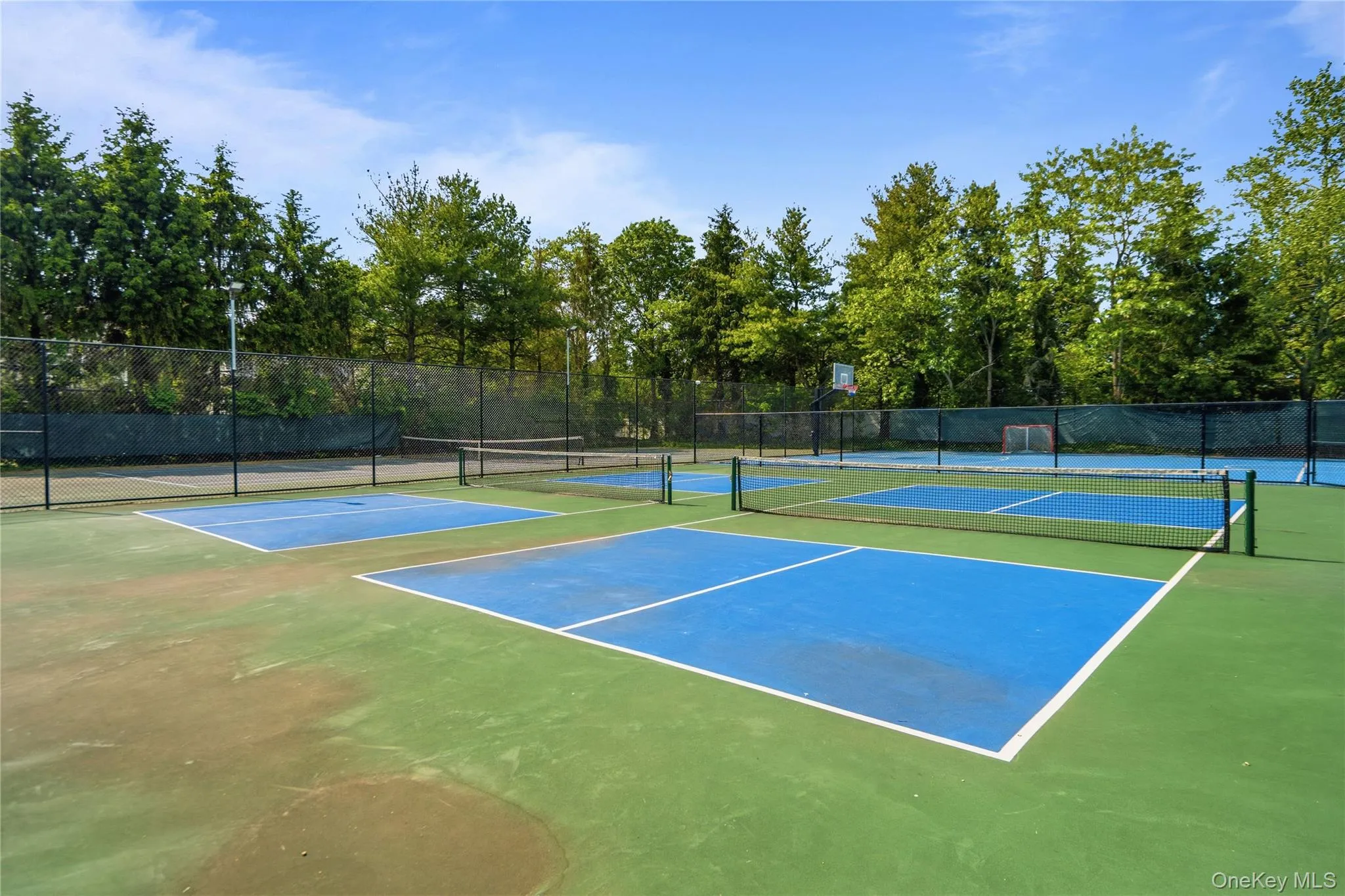 225 Barton Avenue, Huntington, NY, 4 Bedrooms Bedrooms, 9 Rooms Rooms,2 BathroomsBathrooms,Residential,For Rent,Barton,0,1002541 225 Barton Avenue, Huntington, NY, 4 Bedrooms Bedrooms, 9 Rooms Rooms,2 BathroomsBathrooms,Residential,For Rent,Barton,0,1002541