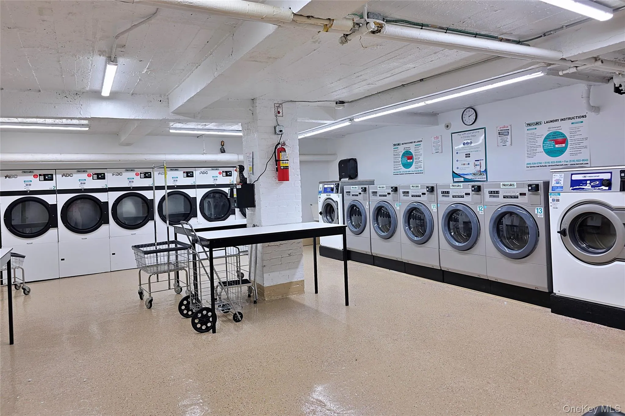 4 Maple Drive, North Hempstead, NY, 1 Bedroom Bedrooms, 3 Rooms Rooms,1 BathroomBathrooms,Residential,For Rent,Maple,0,1002571 4 Maple Drive, North Hempstead, NY, 1 Bedroom Bedrooms, 3 Rooms Rooms,1 BathroomBathrooms,Residential,For Rent,Maple,0,1002571