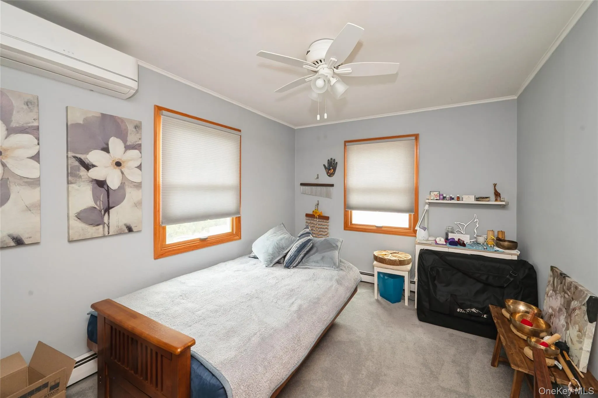Bedroom featuring wood-frame windows with roller shades, a ceiling fan with light fixture, and light gray wall paint Bedroom featuring wood-frame windows with roller shades, a ceiling fan with light fixture, and light gray wall paint