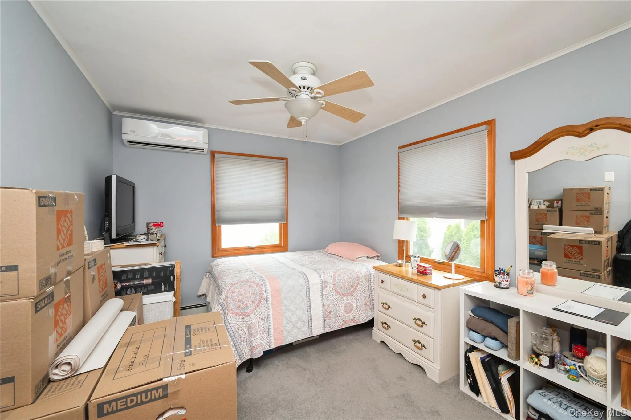 Carpeted bedroom featuring a ceiling fan, light blue walls, and natural wood window trim Carpeted bedroom featuring a ceiling fan, light blue walls, and natural wood window trim