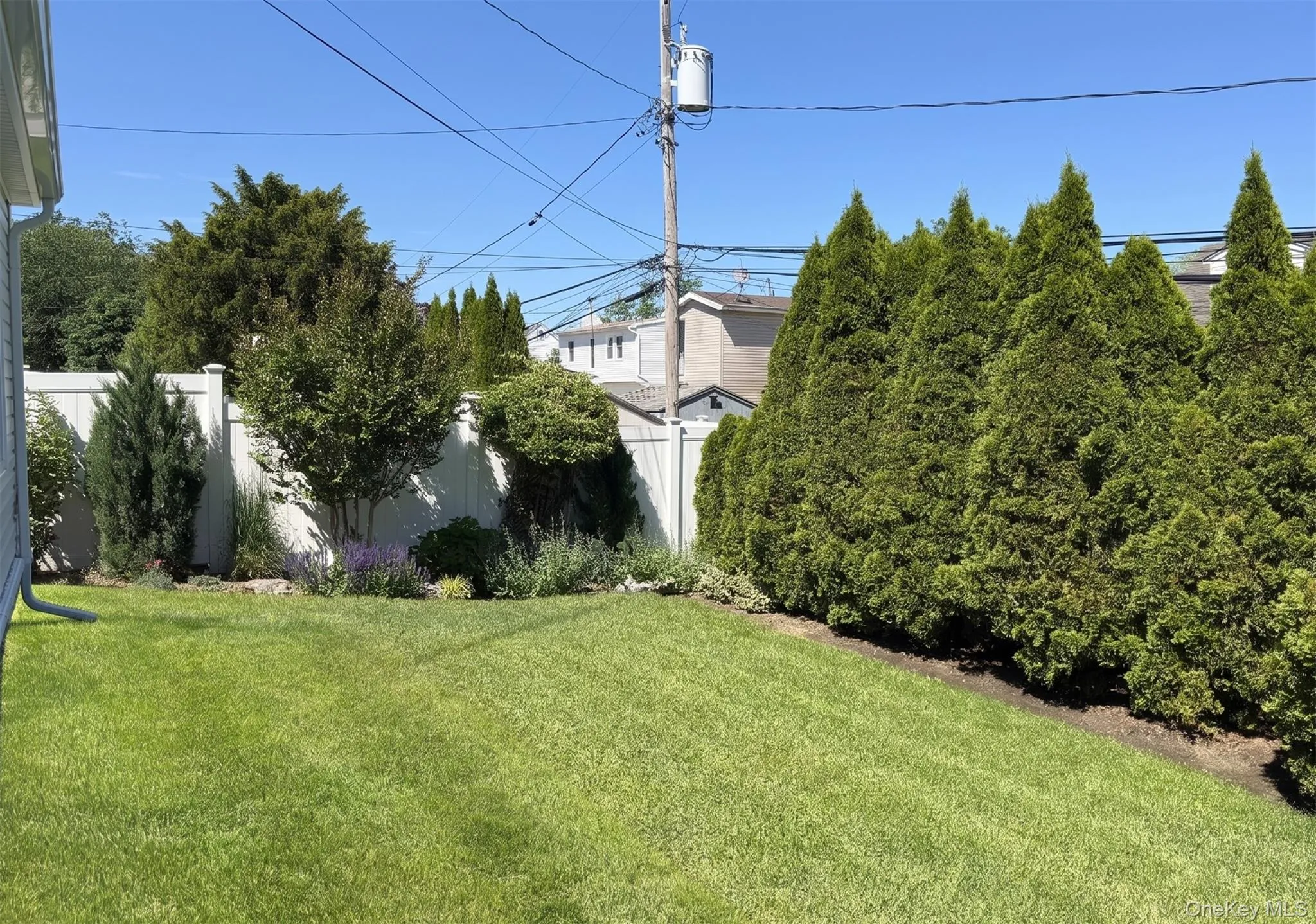 Beautifully landscaped garden and yard with mature arborvitae hedges for privacy Beautifully landscaped garden and yard with mature arborvitae hedges for privacy