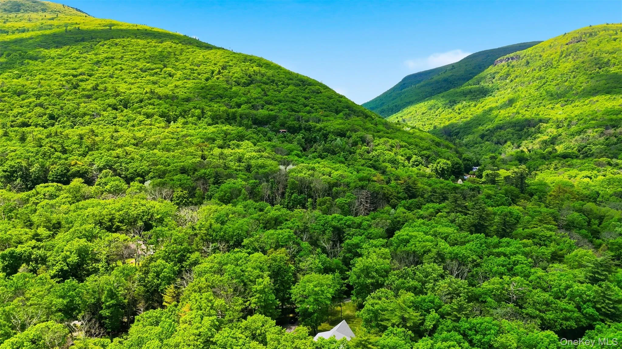 21 Woodland Lane, Catskill, NY, 3 Bedrooms Bedrooms, 8 Rooms Rooms,2 BathroomsBathrooms,Residential,For Rent,Woodland,0,1002603 21 Woodland Lane, Catskill, NY, 3 Bedrooms Bedrooms, 8 Rooms Rooms,2 BathroomsBathrooms,Residential,For Rent,Woodland,0,1002603