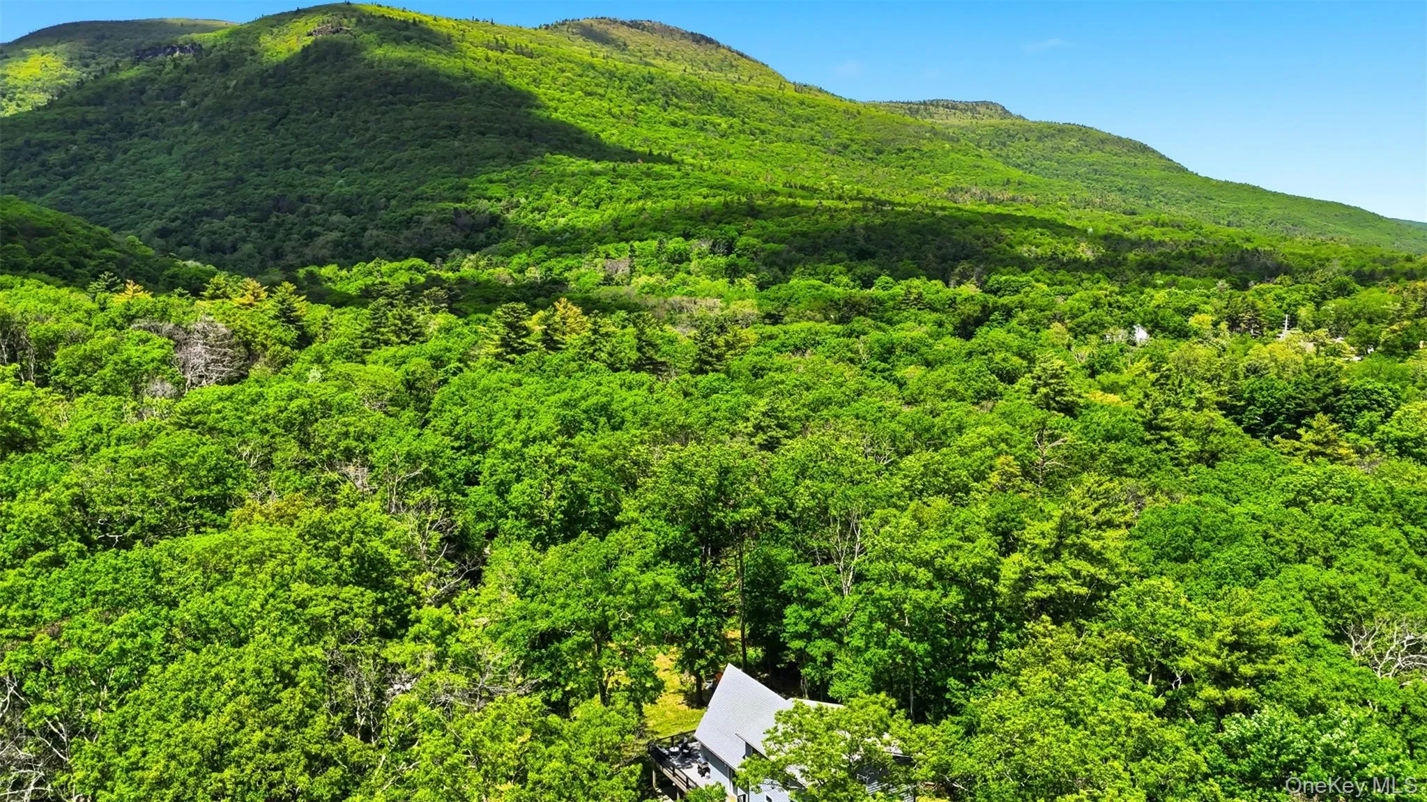 21 Woodland Lane, Catskill, NY, 3 Bedrooms Bedrooms, 8 Rooms Rooms,2 BathroomsBathrooms,Residential,For Rent,Woodland,0,1002603 21 Woodland Lane, Catskill, NY, 3 Bedrooms Bedrooms, 8 Rooms Rooms,2 BathroomsBathrooms,Residential,For Rent,Woodland,0,1002603