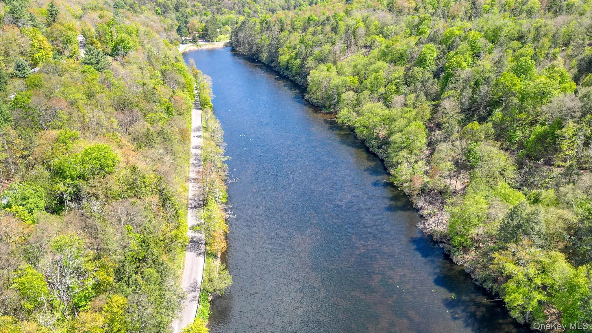 25 Overlook Road, Neversink, NY, 2 Bedrooms Bedrooms, 4 Rooms Rooms,1 BathroomBathrooms,Residential Sale,For Rent,Overlook,0,1002624 25 Overlook Road, Neversink, NY, 2 Bedrooms Bedrooms, 4 Rooms Rooms,1 BathroomBathrooms,Residential Sale,For Rent,Overlook,0,1002624