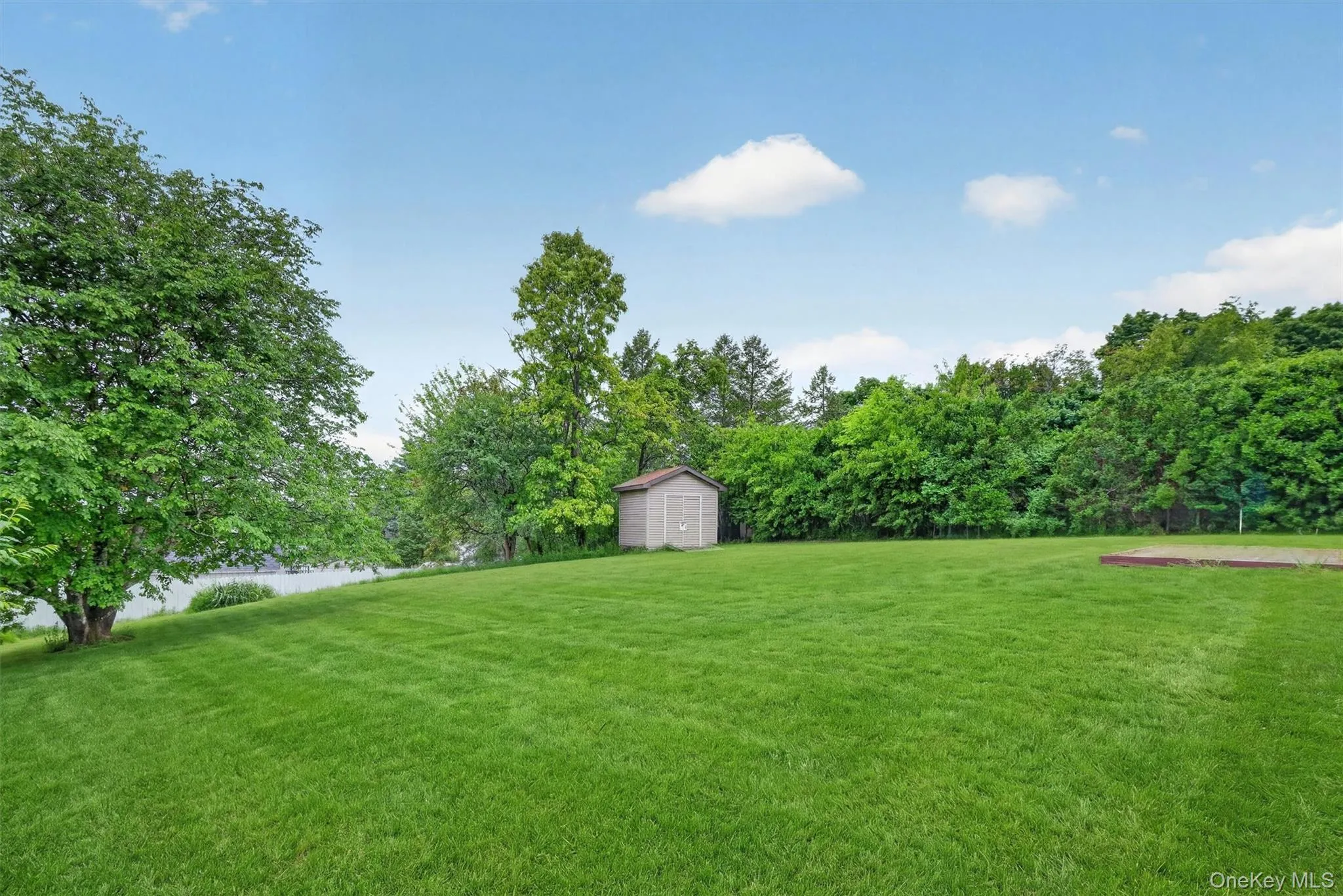 Expansive rear lawn and shed Expansive rear lawn and shed