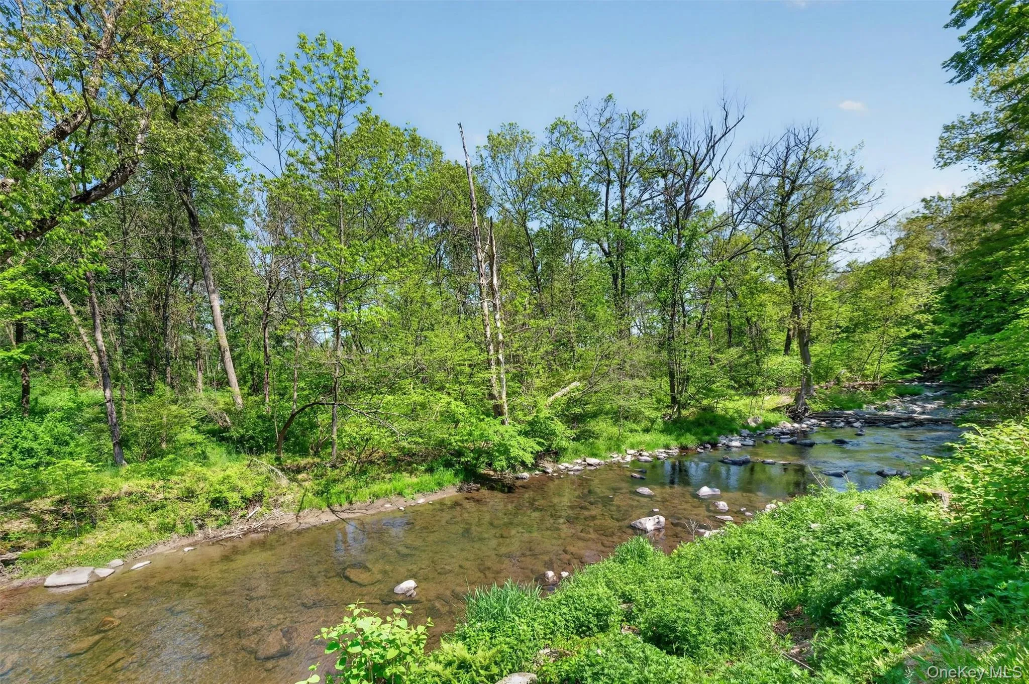 1649 State Route 32, Cornwall, NY, 3 Bedrooms Bedrooms, 6 Rooms Rooms,3 BathroomsBathrooms,Residential,For Rent,State Route 32,0,1002671 1649 State Route 32, Cornwall, NY, 3 Bedrooms Bedrooms, 6 Rooms Rooms,3 BathroomsBathrooms,Residential,For Rent,State Route 32,0,1002671