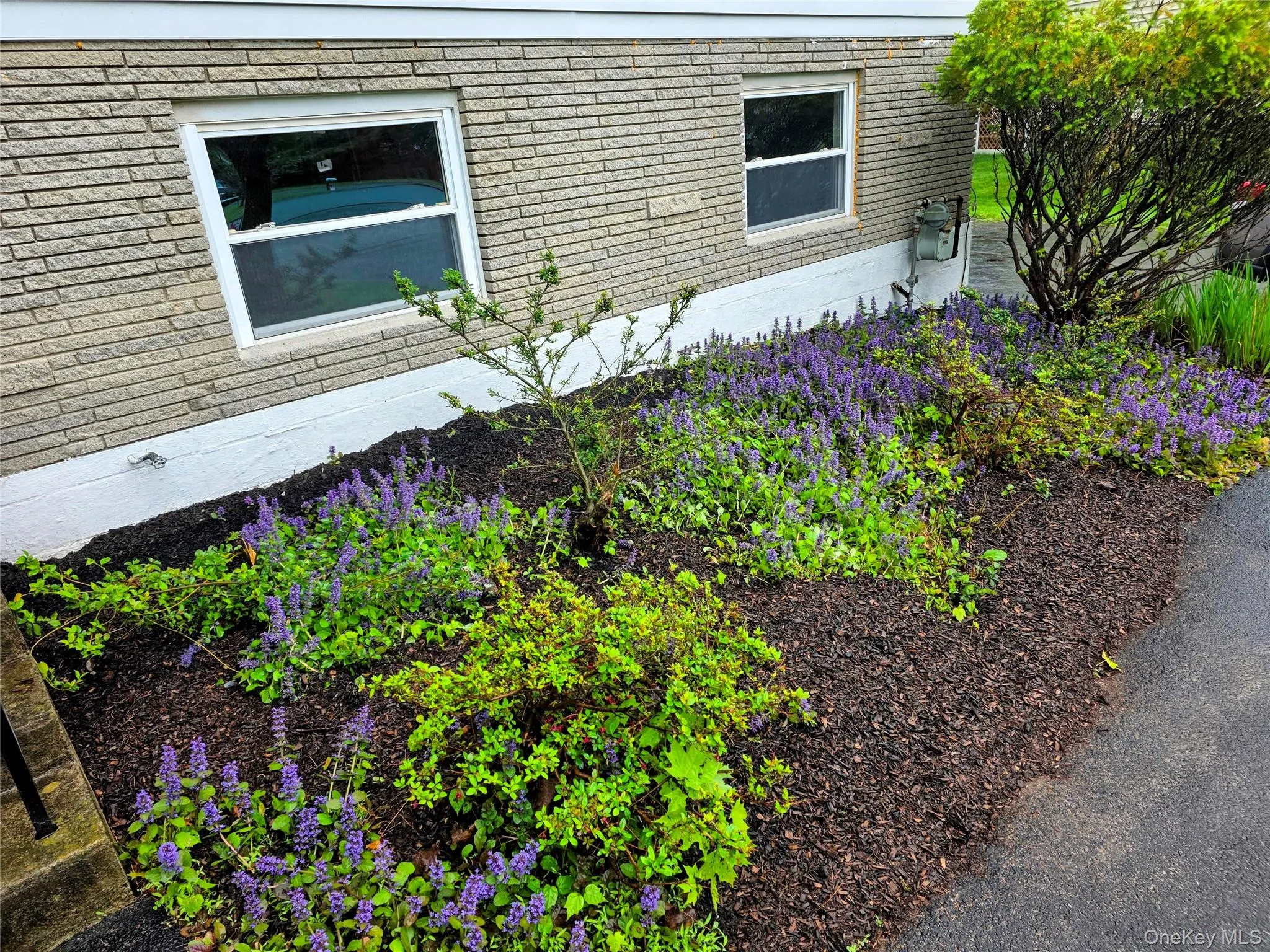 Front landscaping with fresh mulch. Front landscaping with fresh mulch.