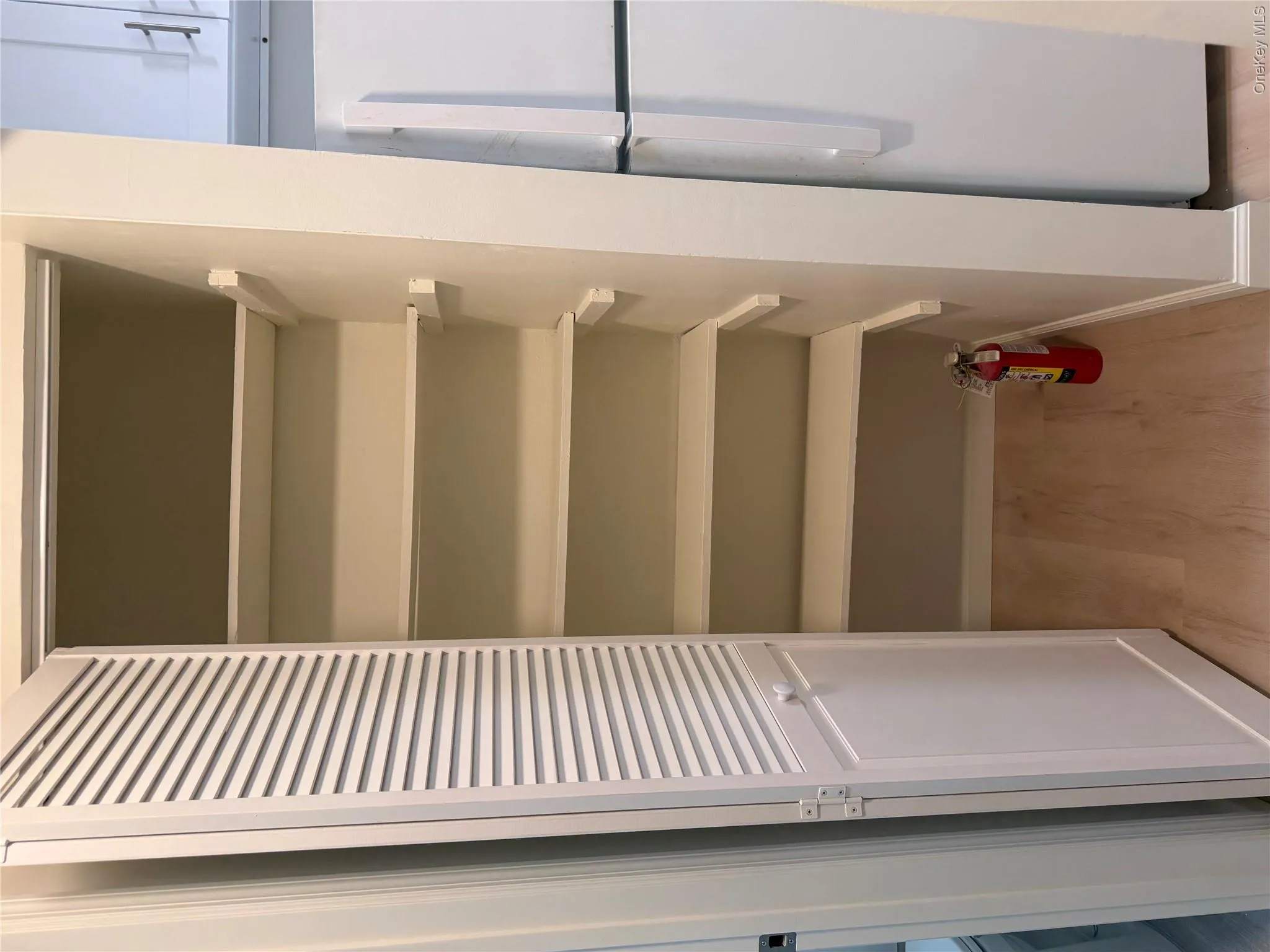 Closet for pantry or linens Closet for pantry or linens