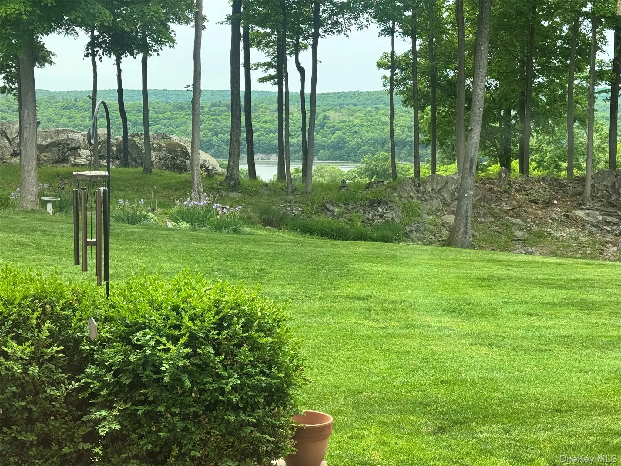 View from patio View from patio