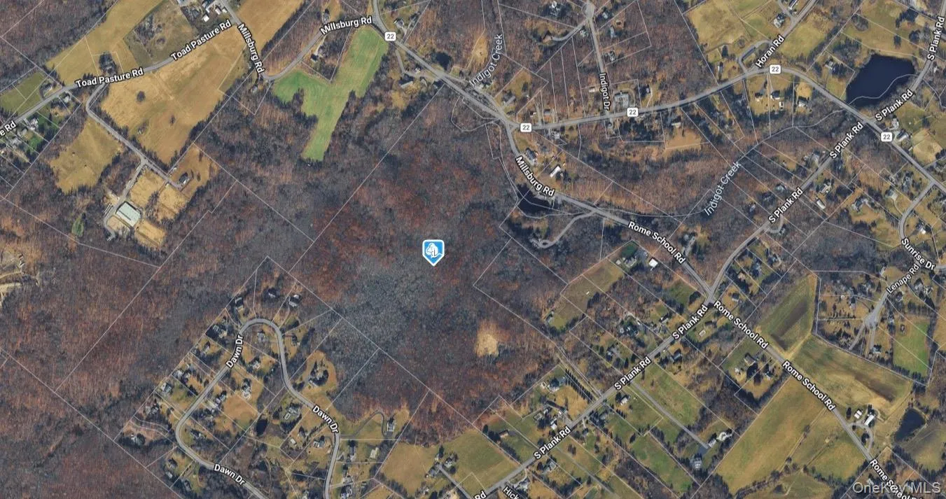 South Plank Road, Minisink, NY, ,Land,For Rent,South Plank,0,1002694 South Plank Road, Minisink, NY, ,Land,For Rent,South Plank,0,1002694