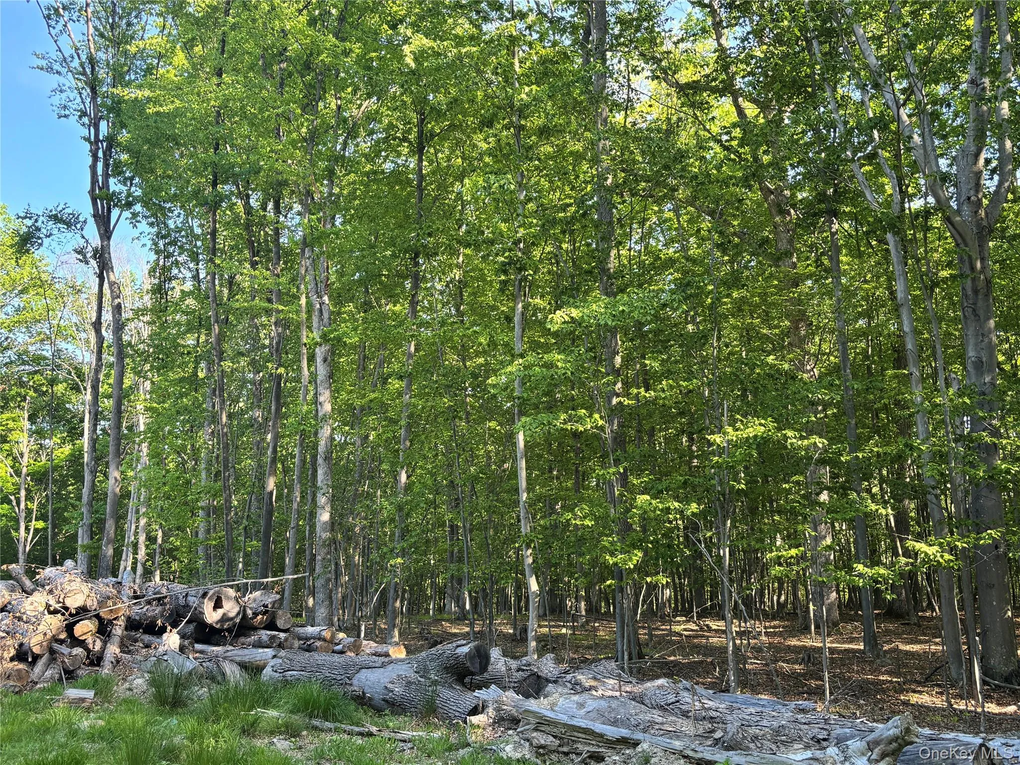 South Plank Road, Minisink, NY, ,Land,For Rent,South Plank,0,1002694 South Plank Road, Minisink, NY, ,Land,For Rent,South Plank,0,1002694