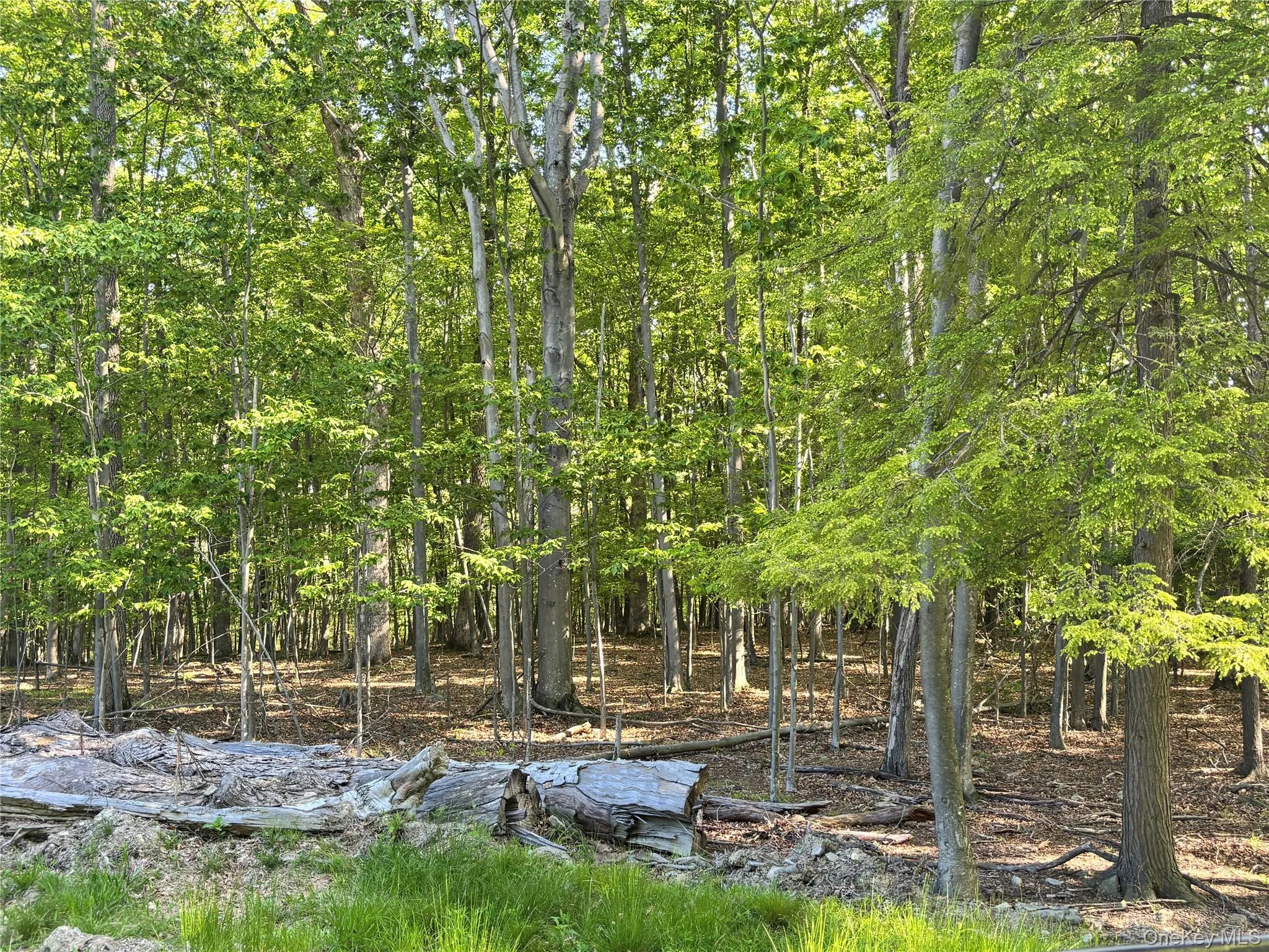 South Plank Road, Minisink, NY, ,Land,For Rent,South Plank,0,1002694 South Plank Road, Minisink, NY, ,Land,For Rent,South Plank,0,1002694