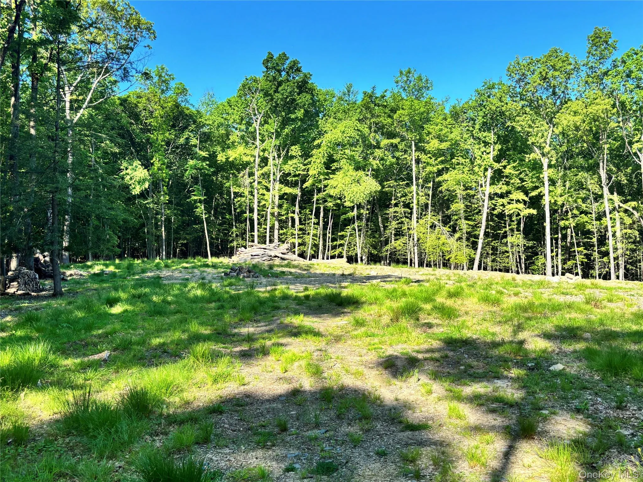 South Plank Road, Minisink, NY, ,Land,For Rent,South Plank,0,1002694 South Plank Road, Minisink, NY, ,Land,For Rent,South Plank,0,1002694