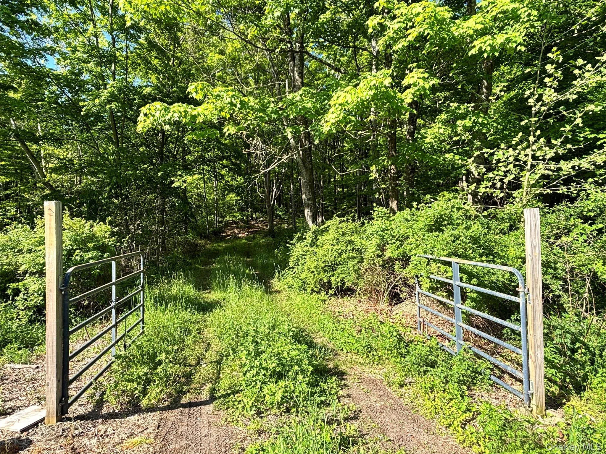 South Plank Road, Minisink, NY, ,Land,For Rent,South Plank,0,1002694 South Plank Road, Minisink, NY, ,Land,For Rent,South Plank,0,1002694
