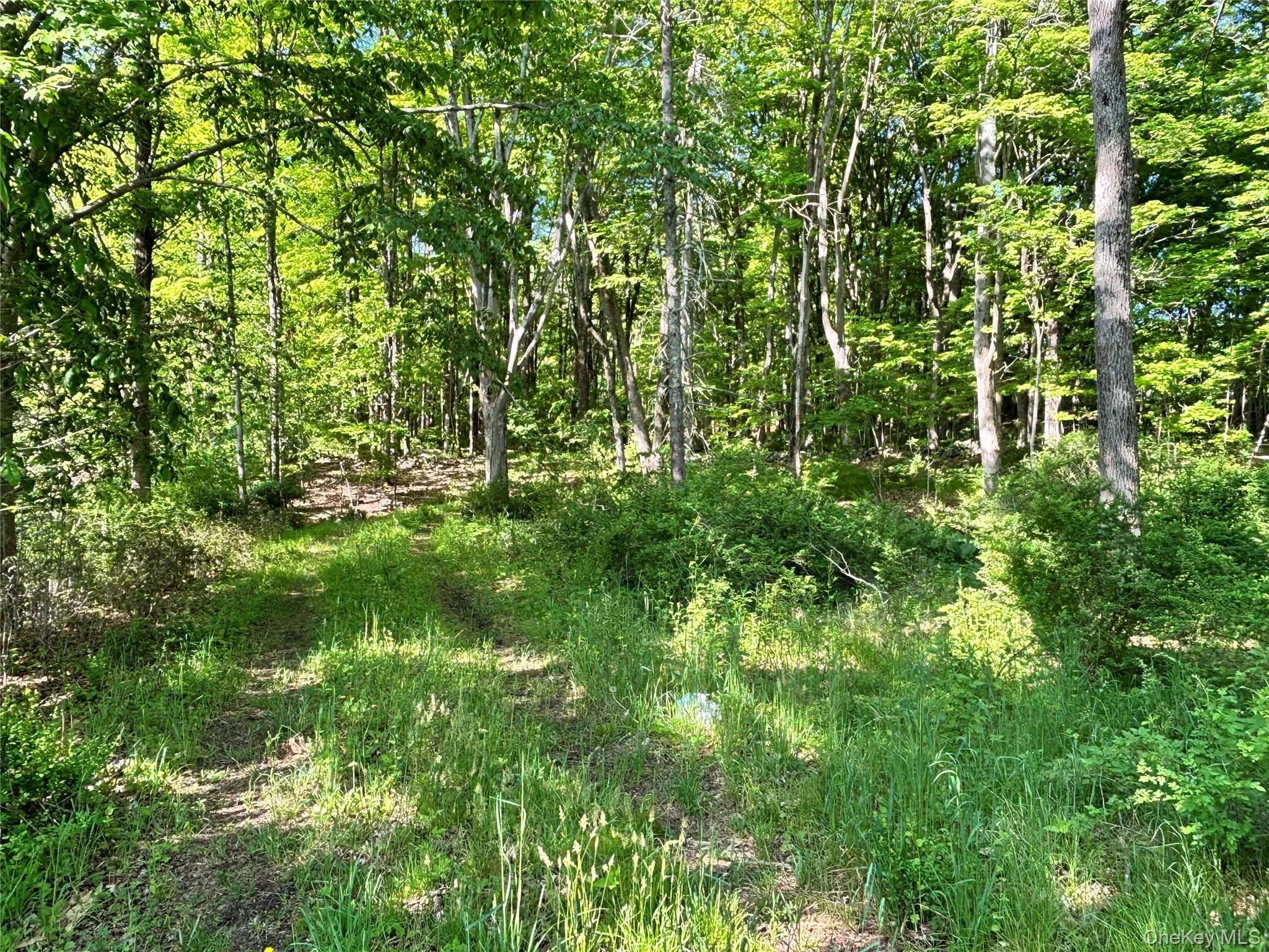 South Plank Road, Minisink, NY, ,Land,For Rent,South Plank,0,1002694 South Plank Road, Minisink, NY, ,Land,For Rent,South Plank,0,1002694